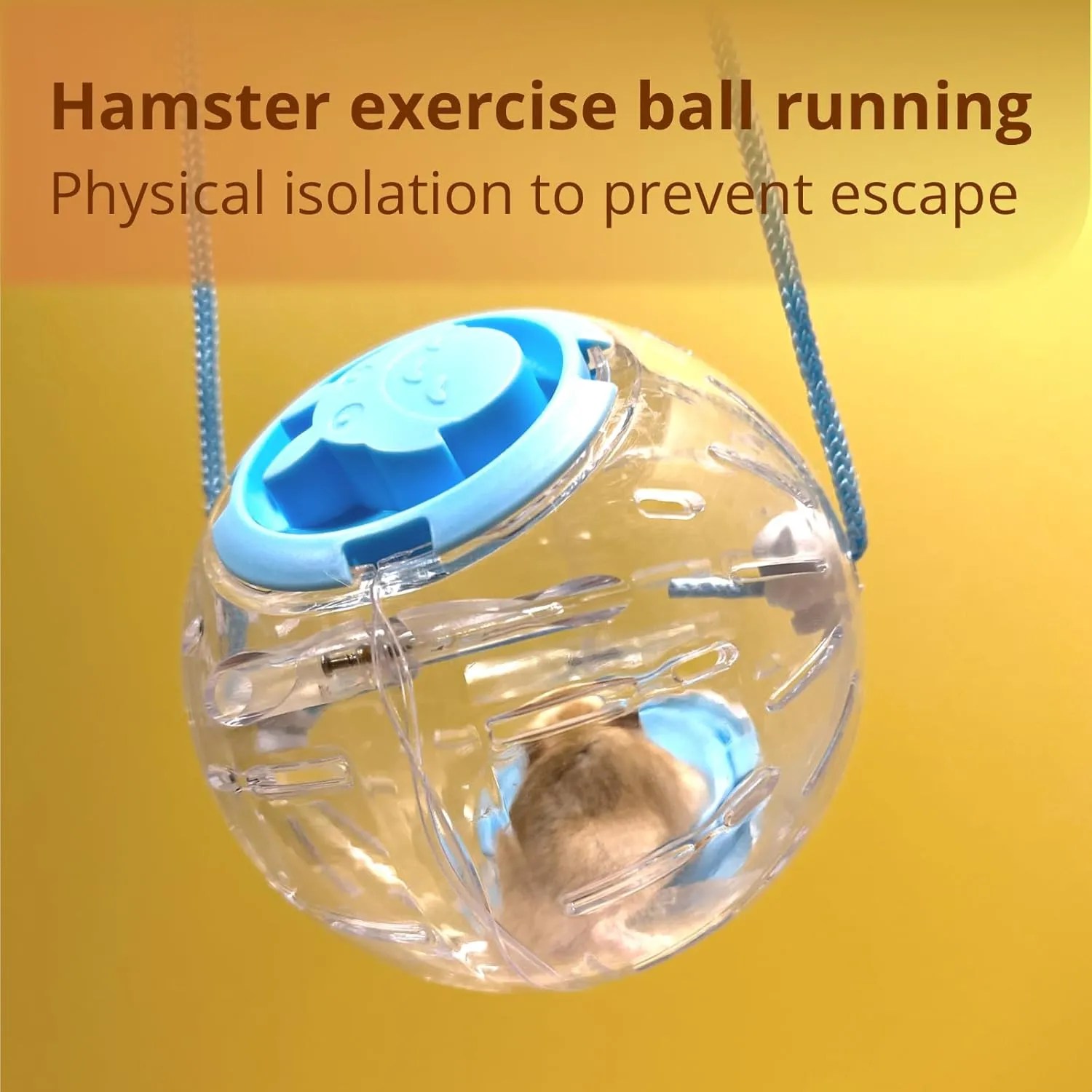 5.9" Hamster Wheel,Exercise Ball & Wheel - Silent Running Toy with Anti-Skid,Transparent Hamster Ball,Breathable Design & Rope for Easy Carry,for Little/Dwarf Mouse (Blue, 5.9)