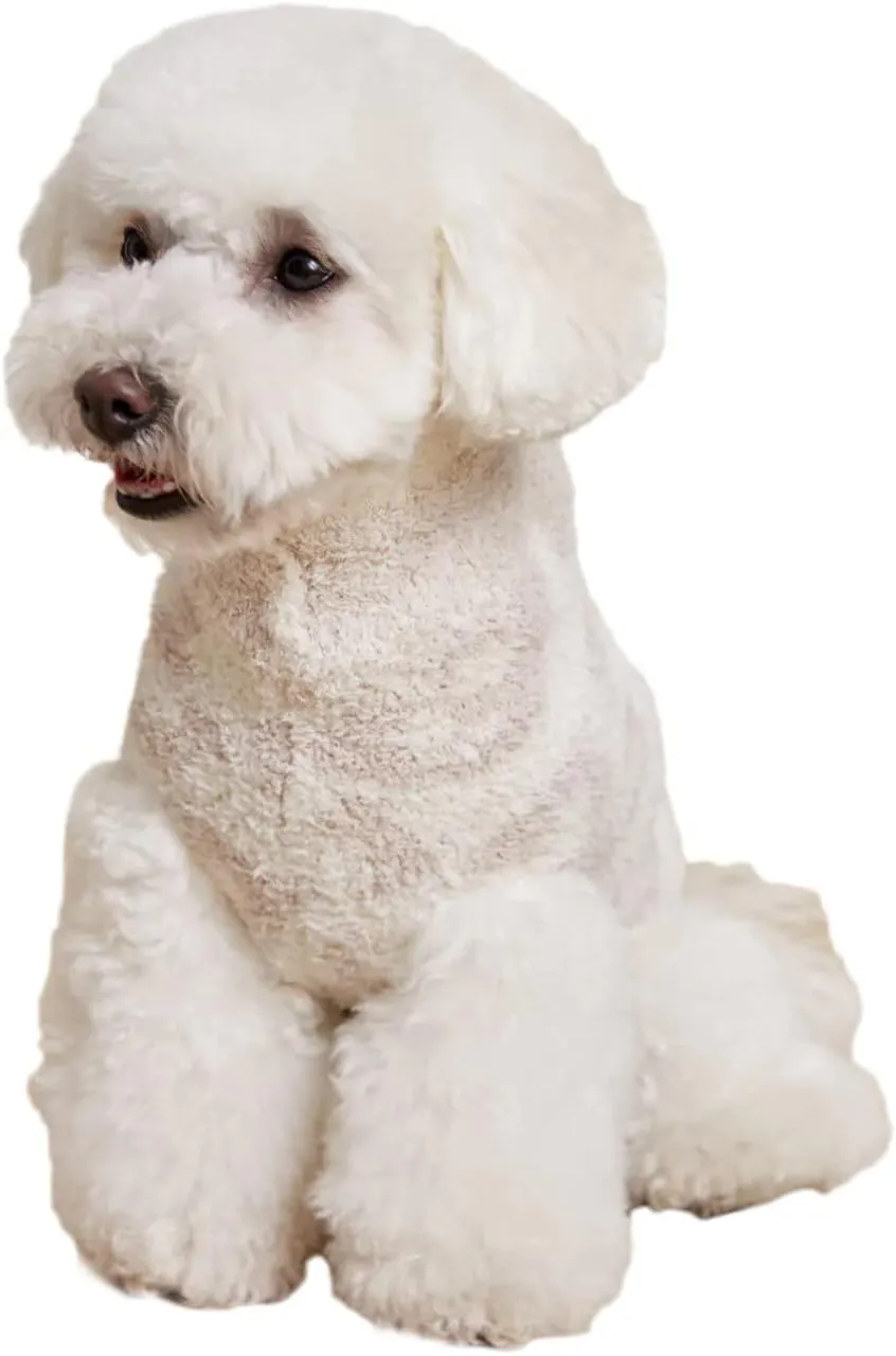 Barefoot Dreams CozyChic Barefoot in The Wild Pet Sweater, Cream-Stone, Medium