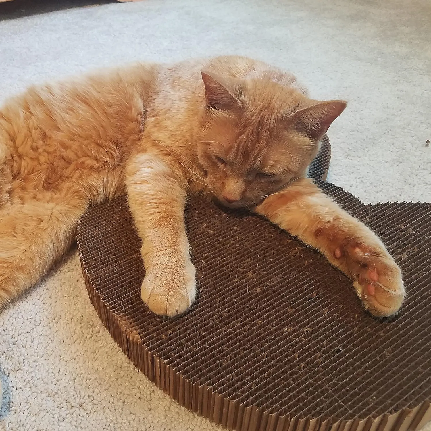 Cat Scratcher by Americat  Made in USA Cardboard Scratching Pad & Lounger  X Large, 2-Sided, Heavy, No-Shedding, Long-Lasting (Cat)