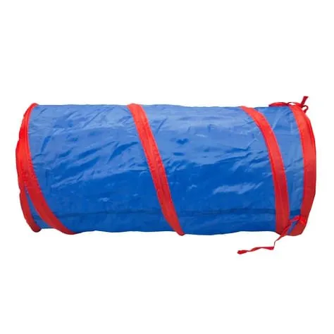 Cat Tunnel with Dangle Toys