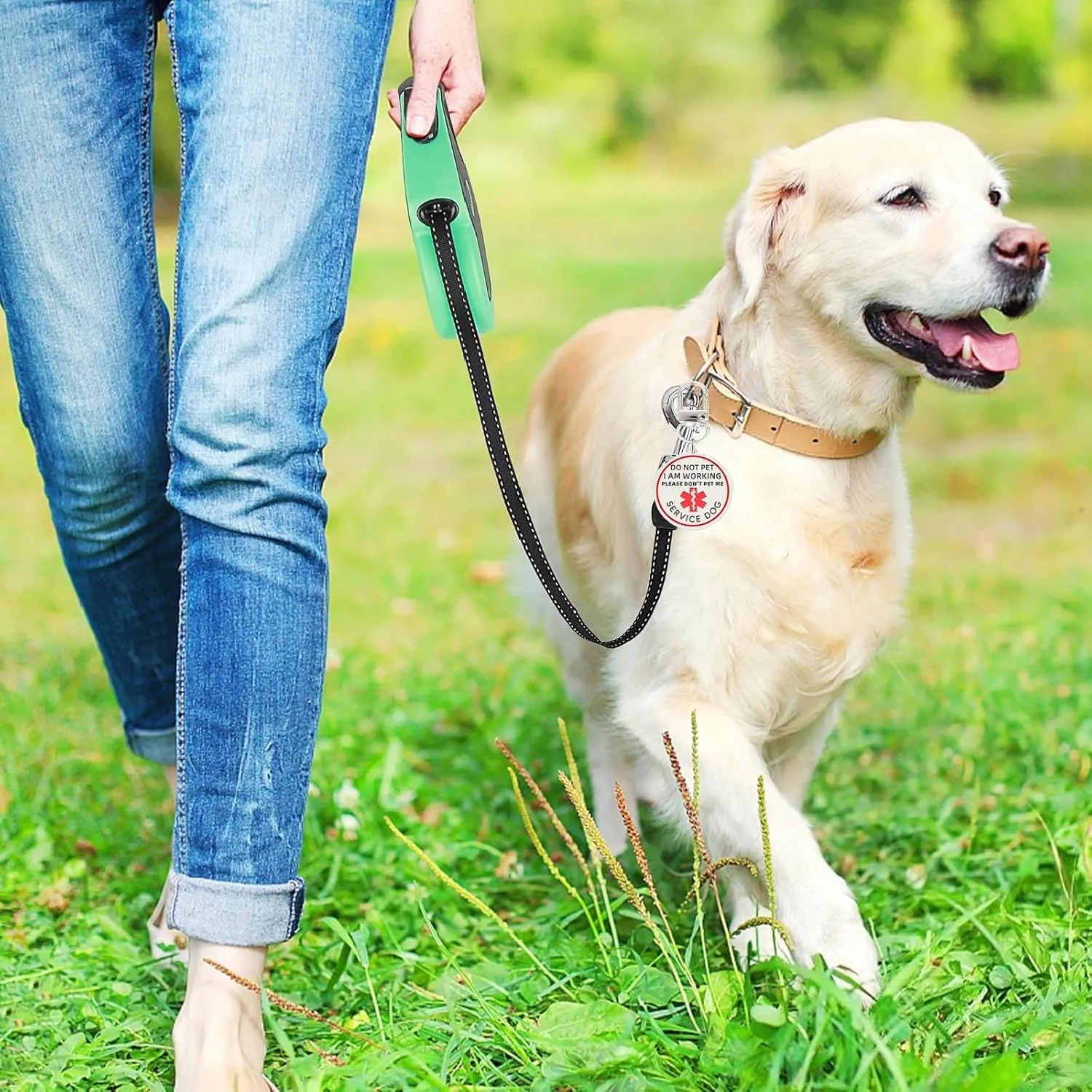 Do Not Pet Service Dog ID Tag, Double Side Engraved Medical Alert Symbol Easily Attach to Collar, Harness (Small-0.98 inch)