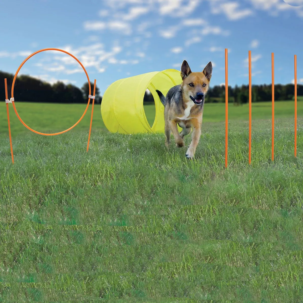 Dog Agility Starter Kit Outdoor - Outward Hound