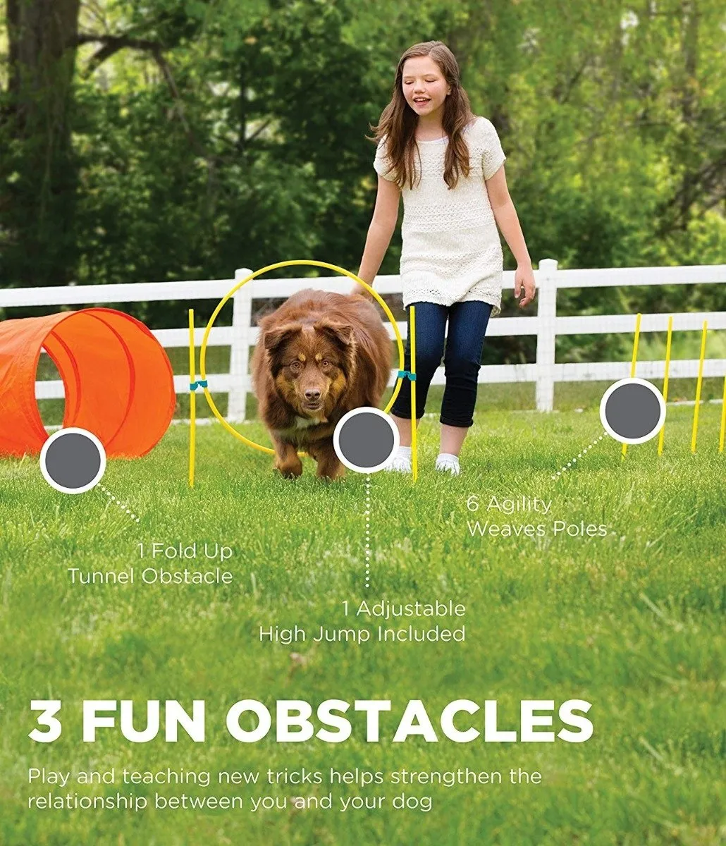 Dog Agility Starter Kit Outdoor - Outward Hound