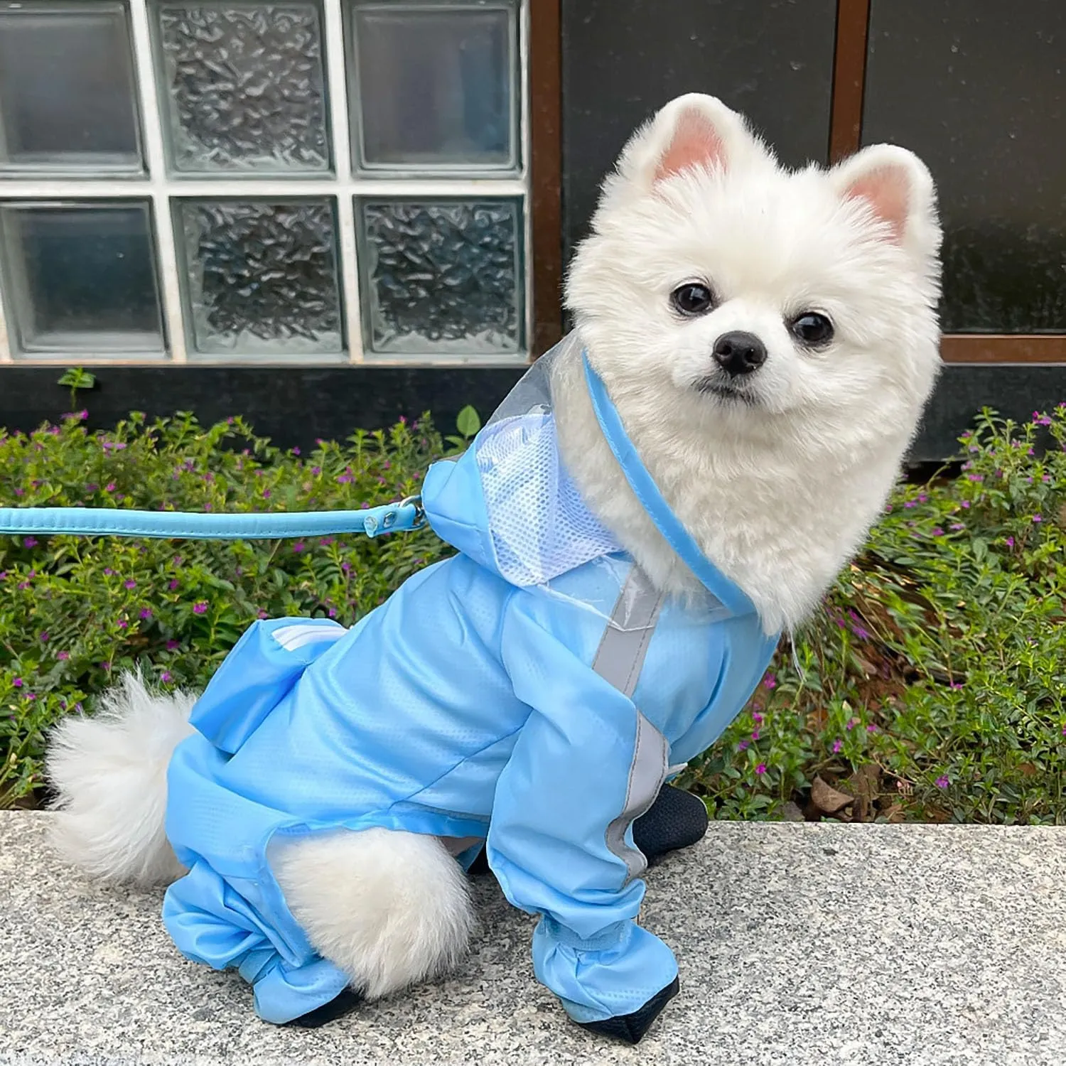 Dog Raincoat with Hood, Waterproof Full-Coverage Reflective Rain Jacket Quick-Drying Rain Poncho and Shoes for Small Medium Large Dogs,Blue,L