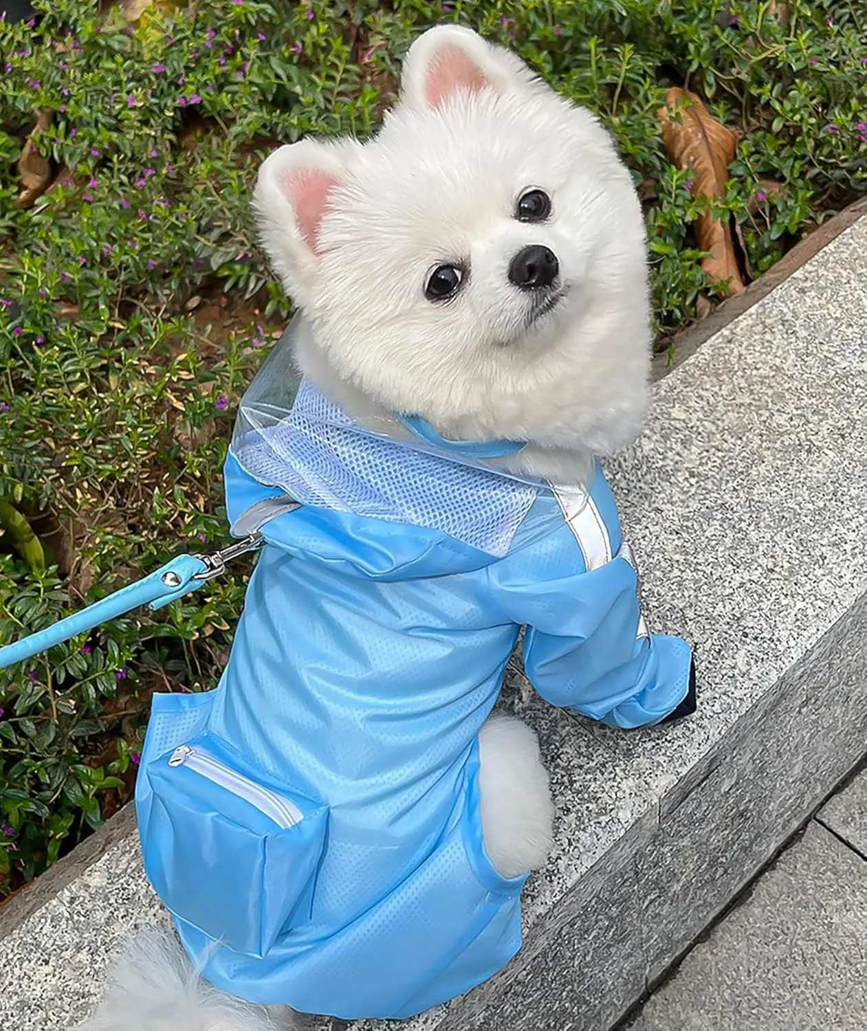 Dog Raincoat with Hood, Waterproof Full-Coverage Reflective Rain Jacket with Leash Quick-Drying Rain Poncho and Shoes for Small Medium Large Dogs,Blue,L