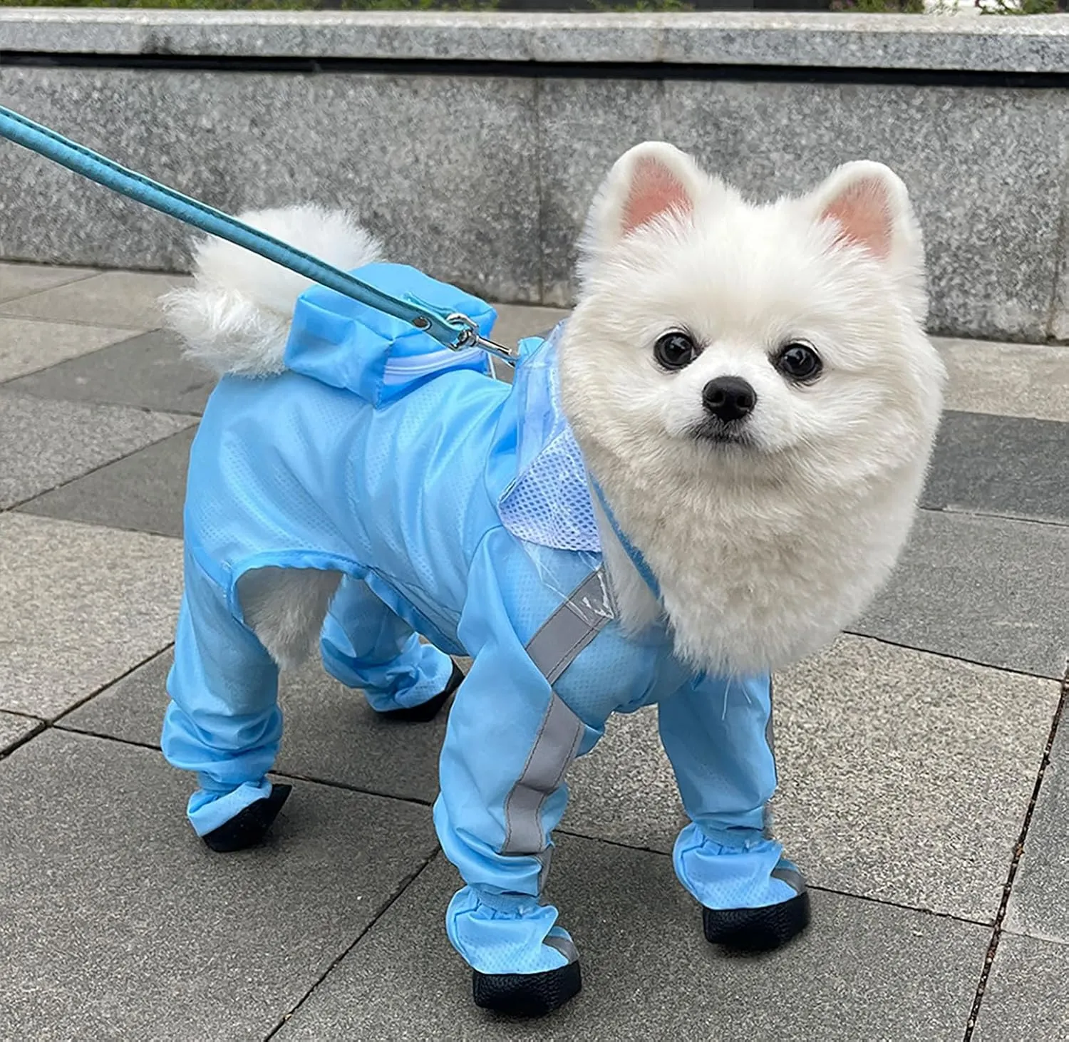 Dog Raincoat with Hood, Waterproof Full-Coverage Reflective Rain Jacket with Leash Quick-Drying Rain Poncho and Shoes for Small Medium Large Dogs,Blue,L