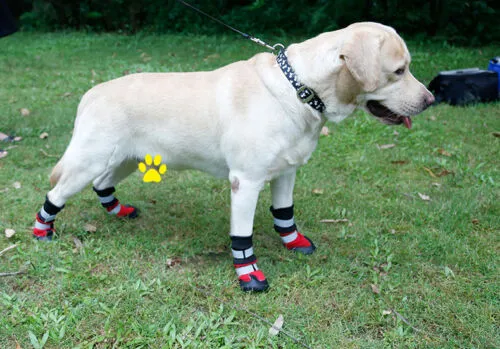 Dog Shoes WaterProof Rain Boots Socks Non-slip Rubber Shoes Red M- XL