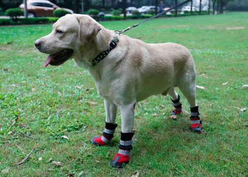 Dog Shoes WaterProof Rain Boots Socks Non-slip Rubber Shoes Red M- XL