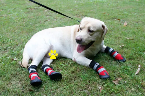 Dog Shoes WaterProof Rain Boots Socks Non-slip Rubber Shoes Red M- XL