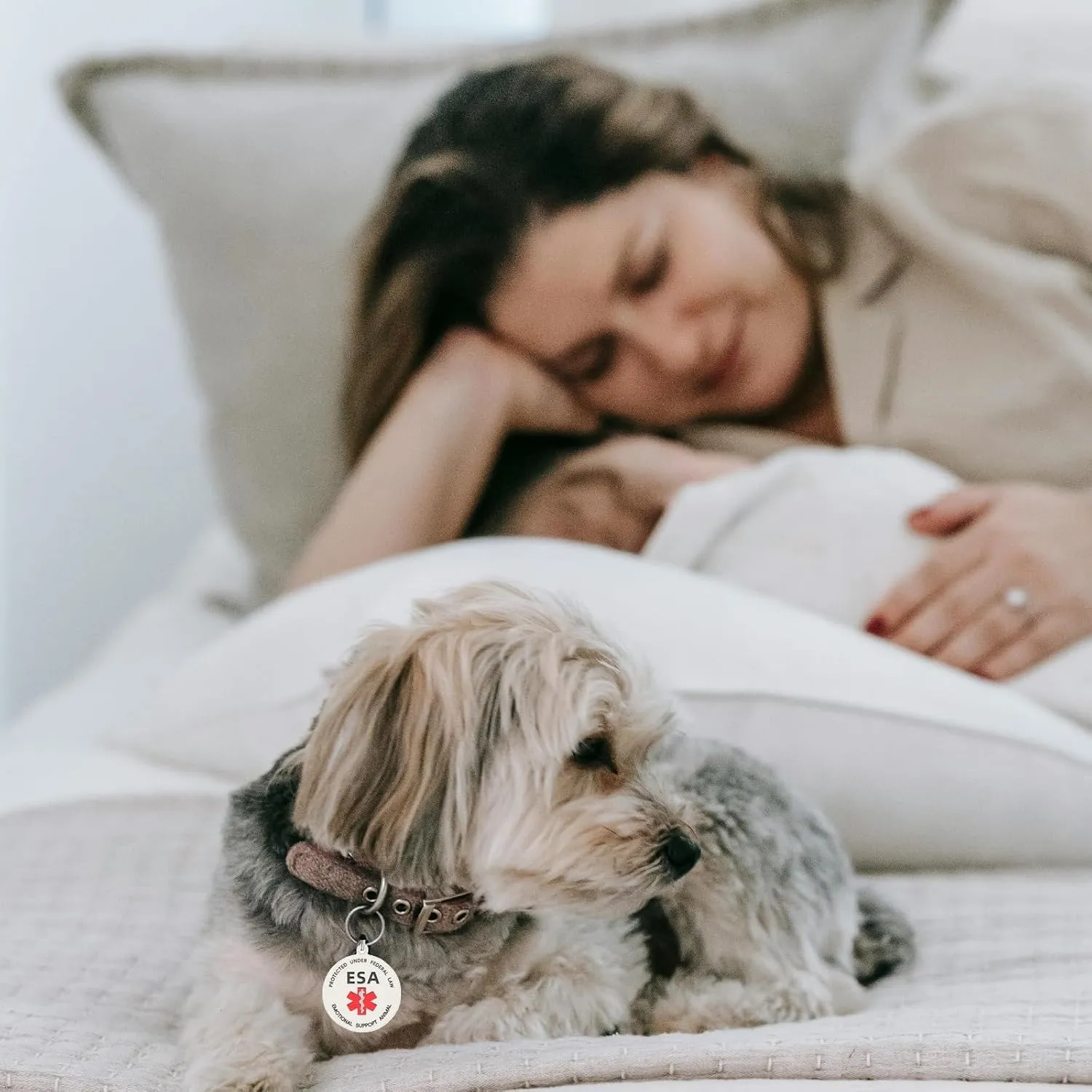 Emotional Support Dog tag, ESA ID Tag Easily Attach to Vest, Collar, Harness (Medium-1.18inch)