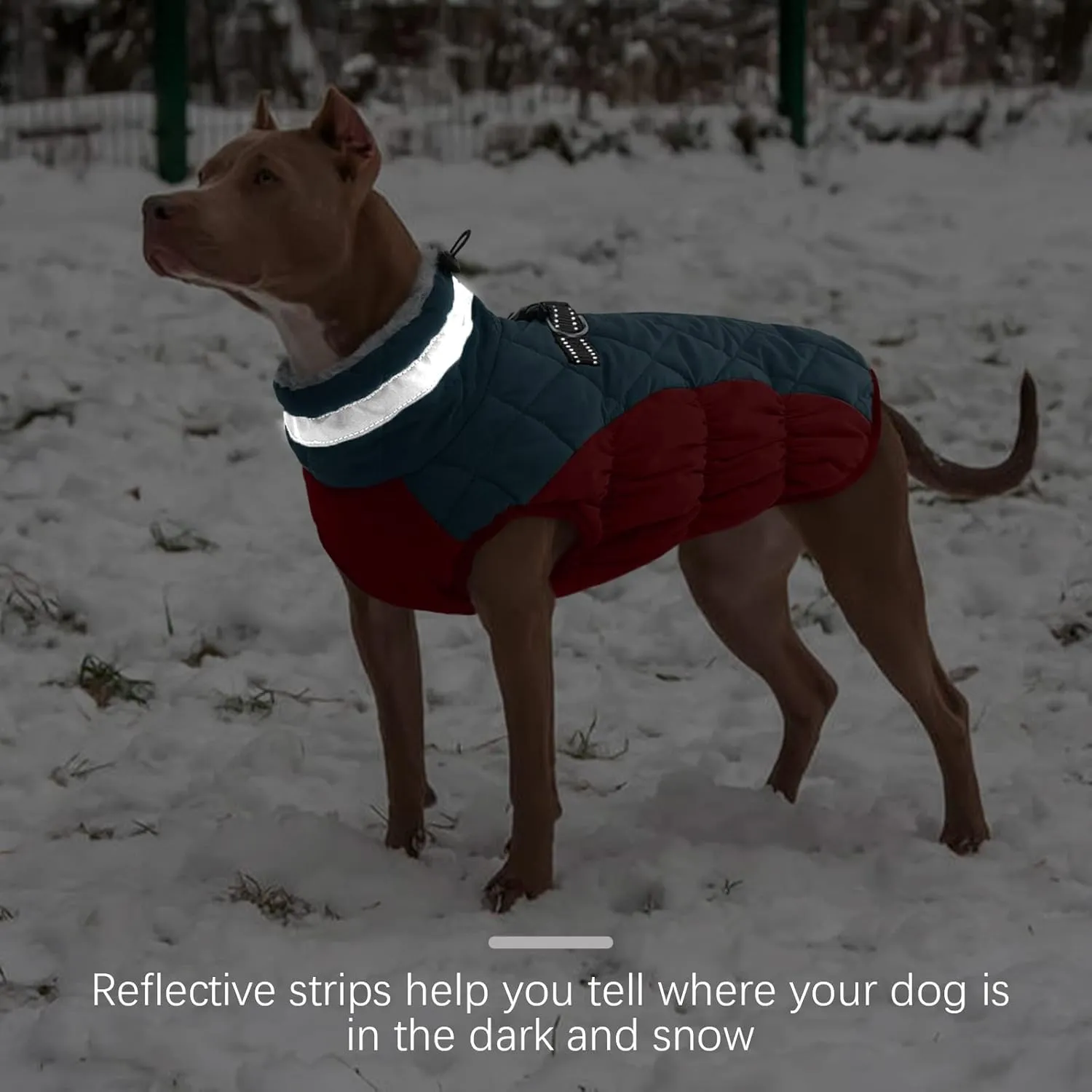 FUAMET Dog Winter Jacket,Padded Coat with Harness - Pet Warm Clothes for Small to Large Dogs - Dark Blue