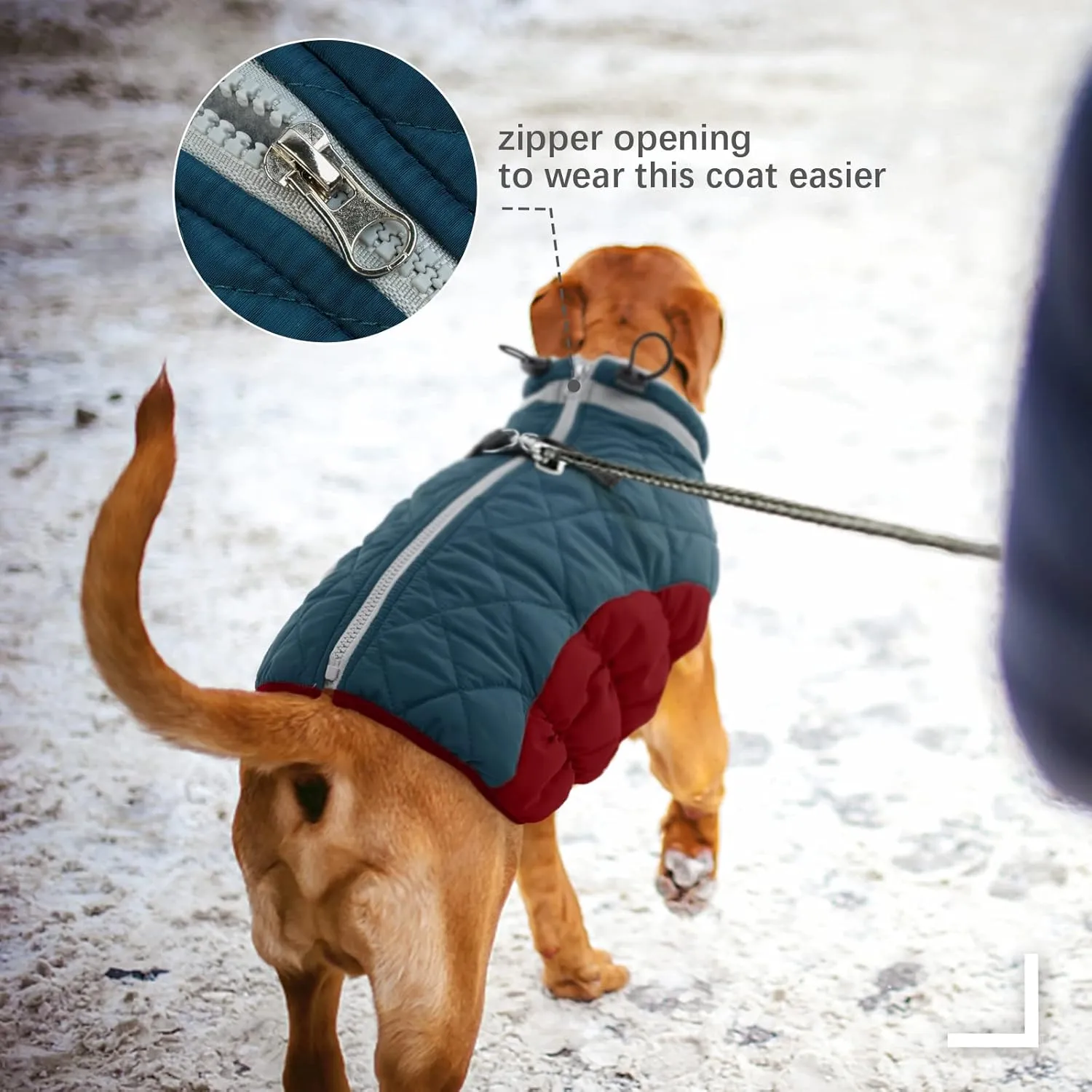 FUAMET Dog Winter Jacket,Padded Coat with Harness - Pet Warm Clothes for Small to Large Dogs - Dark Blue