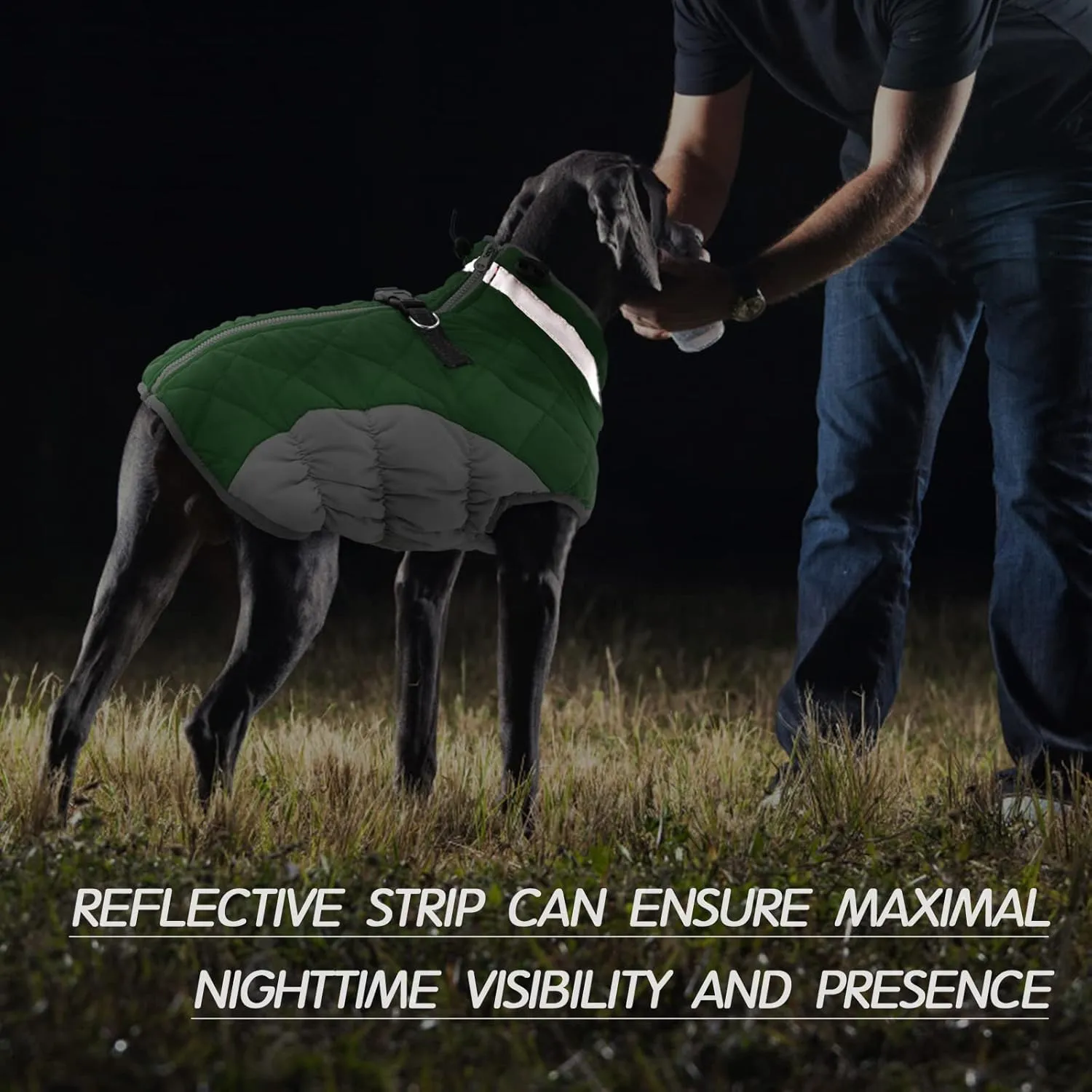 FUAMEY Dog Coat - Warm Winter Jacket with Padded Fleece, Reflective, Waterproof & Windproof, Built-in Harness, Green, Small