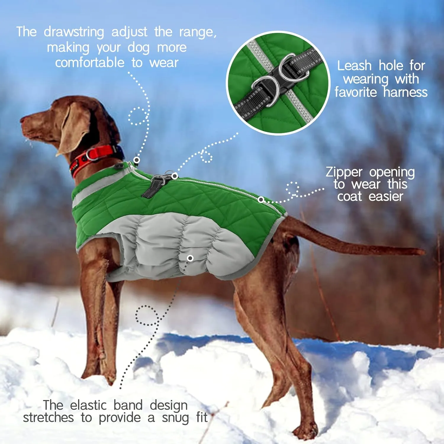 FUAMEY Dog Coat - Warm Winter Jacket with Padded Fleece, Reflective, Waterproof & Windproof, Built-in Harness, Green, Small