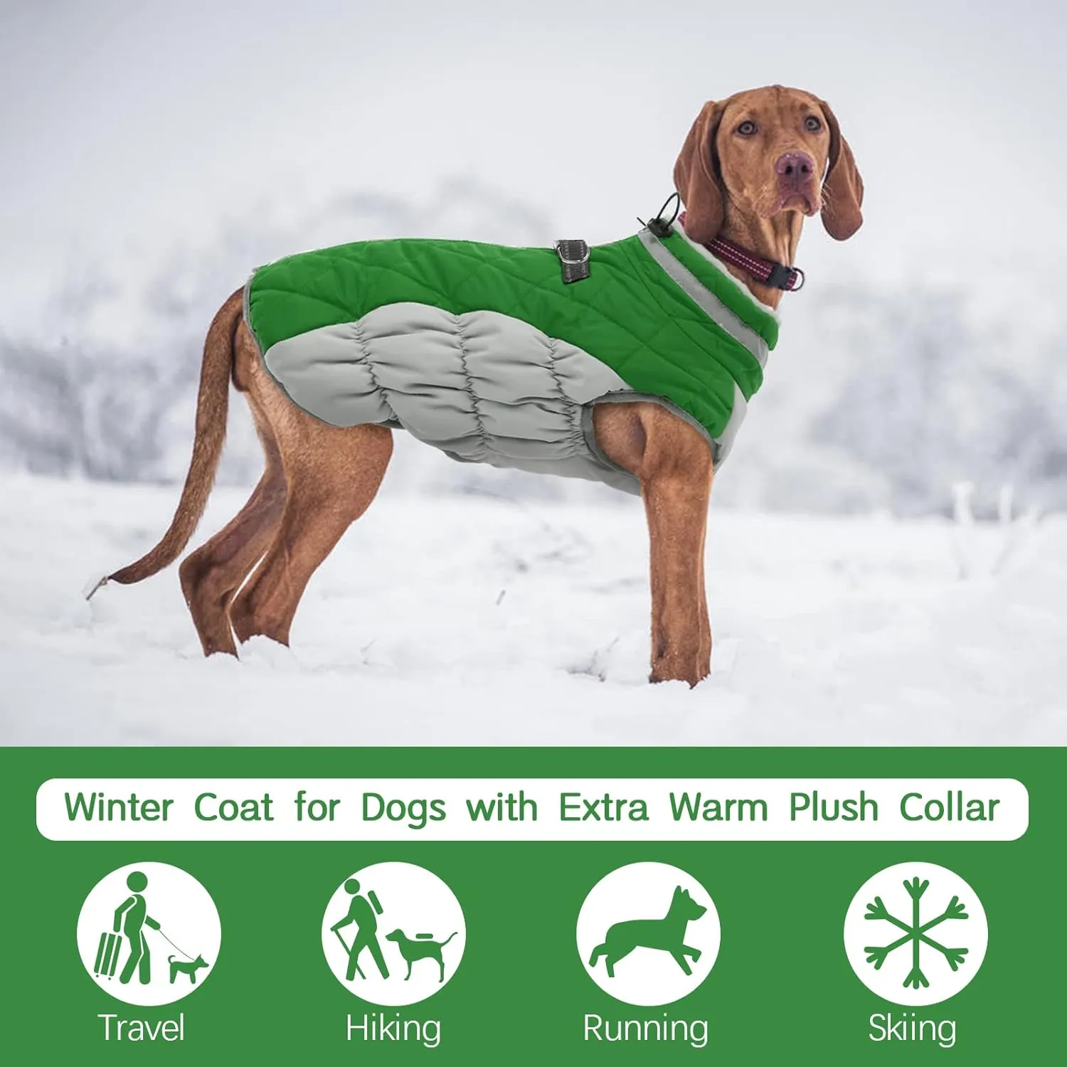 FUAMEY Dog Coat - Warm Winter Jacket with Padded Fleece, Reflective, Waterproof & Windproof, Built-in Harness, Green, Small