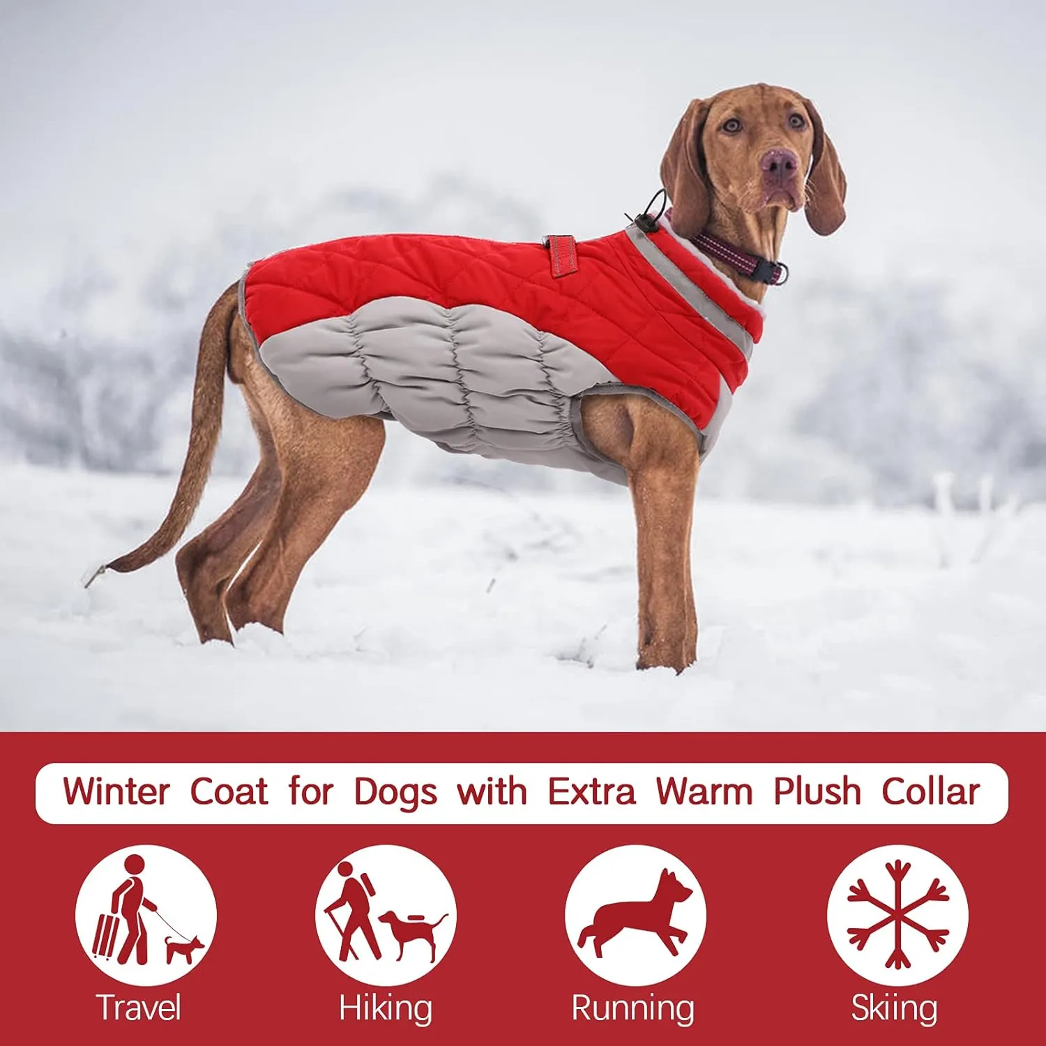FUAMEY Dog Coat - Warm Winter Jacket with Padded Fleece, Reflective, Waterproof & Windproof, Built-in Harness, Red, Small