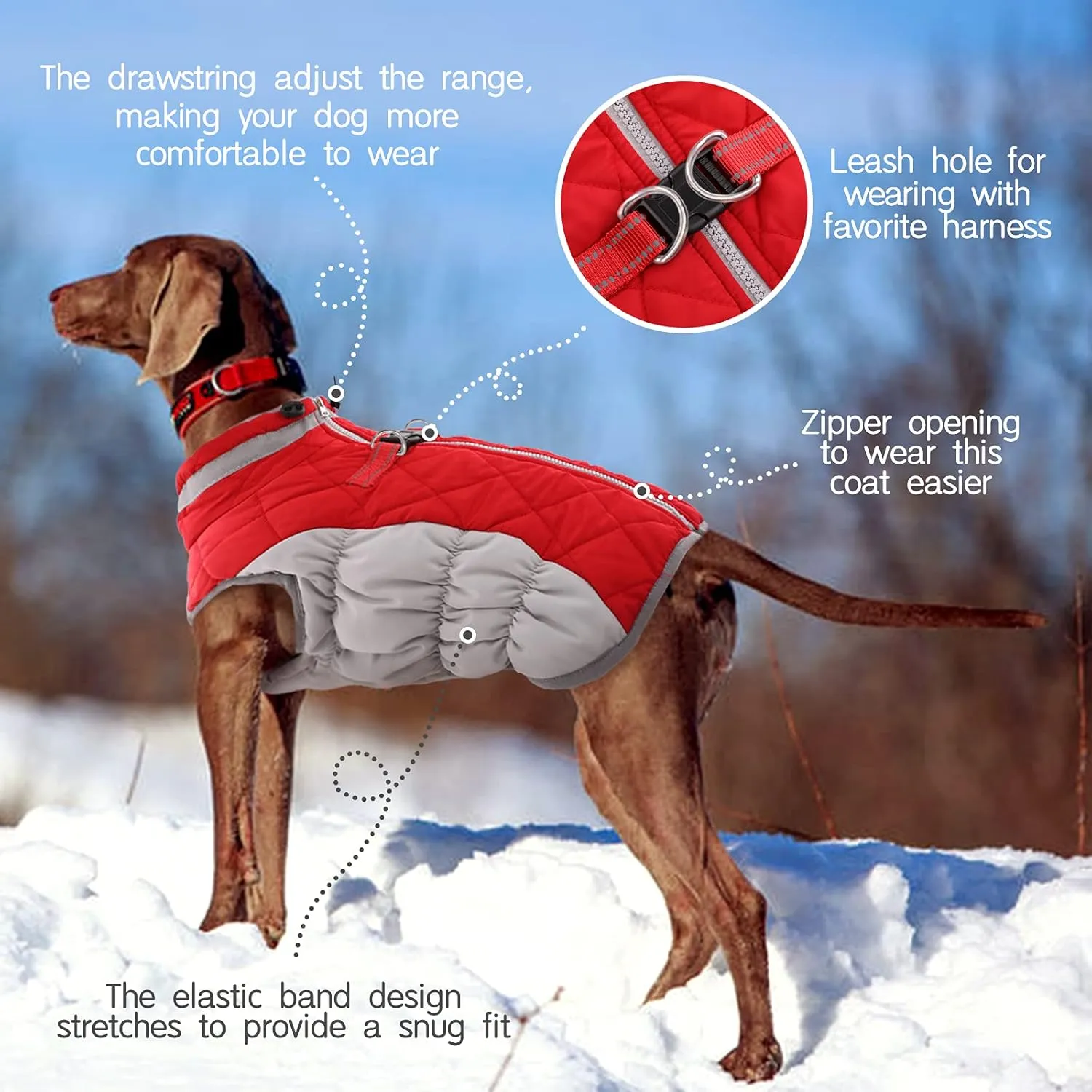 FUAMEY Dog Coat - Warm Winter Jacket with Padded Fleece, Reflective, Waterproof & Windproof, Built-in Harness, Red, Small