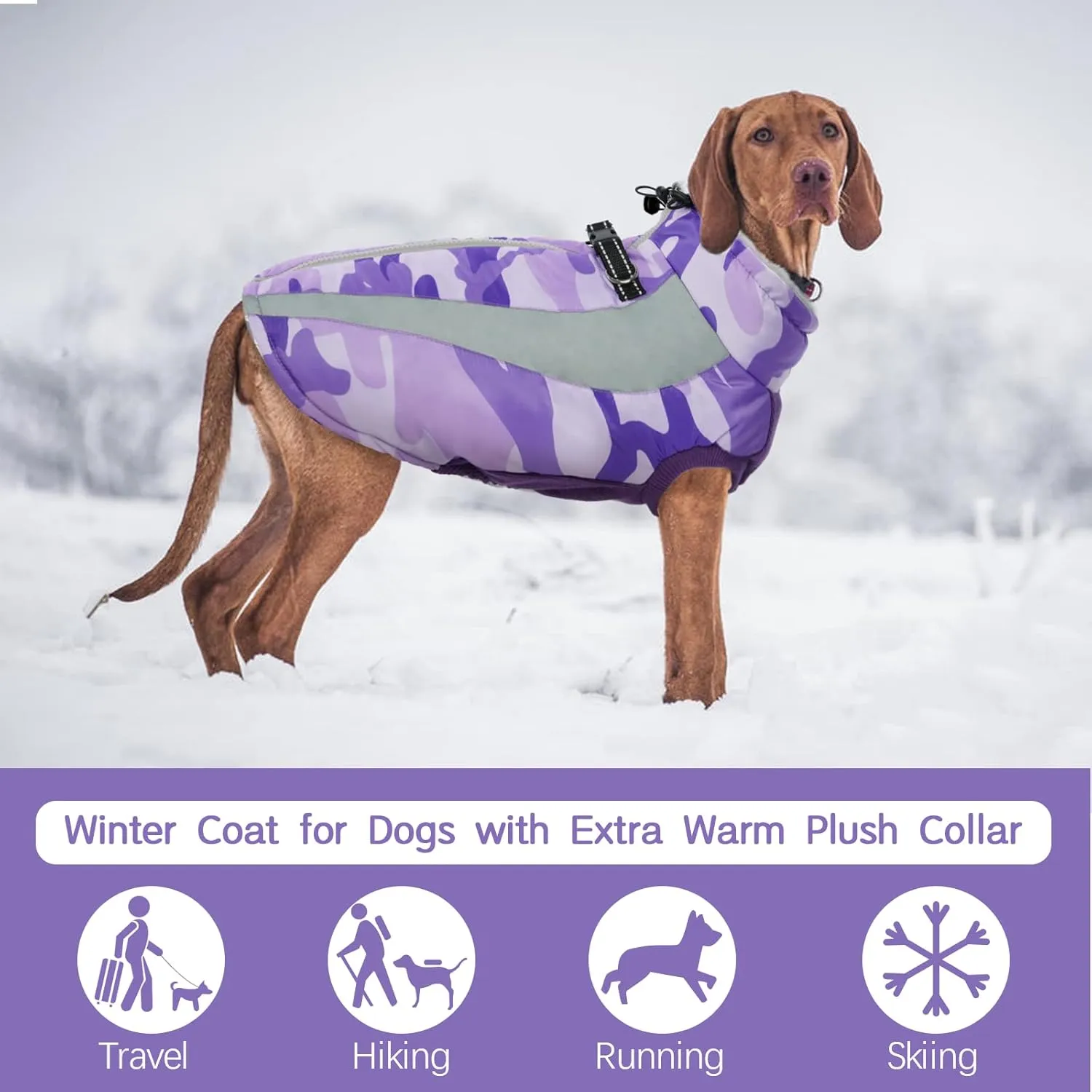 FUAMEY Warm Dog Jacket, Winter Coat with Harness, Waterproof Windproof Snow Jacket, Purple, S - Small/Medium/Large