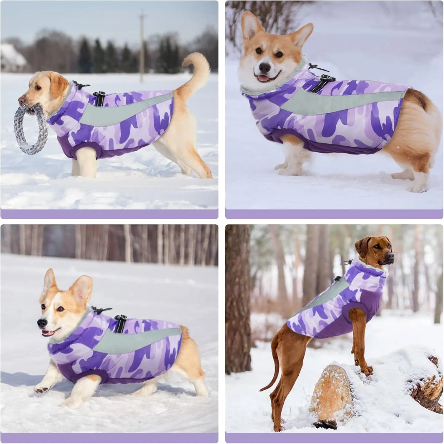 FUAMEY Warm Dog Jacket, Winter Coat with Harness, Waterproof Windproof Snow Jacket, Purple, S - Small/Medium/Large