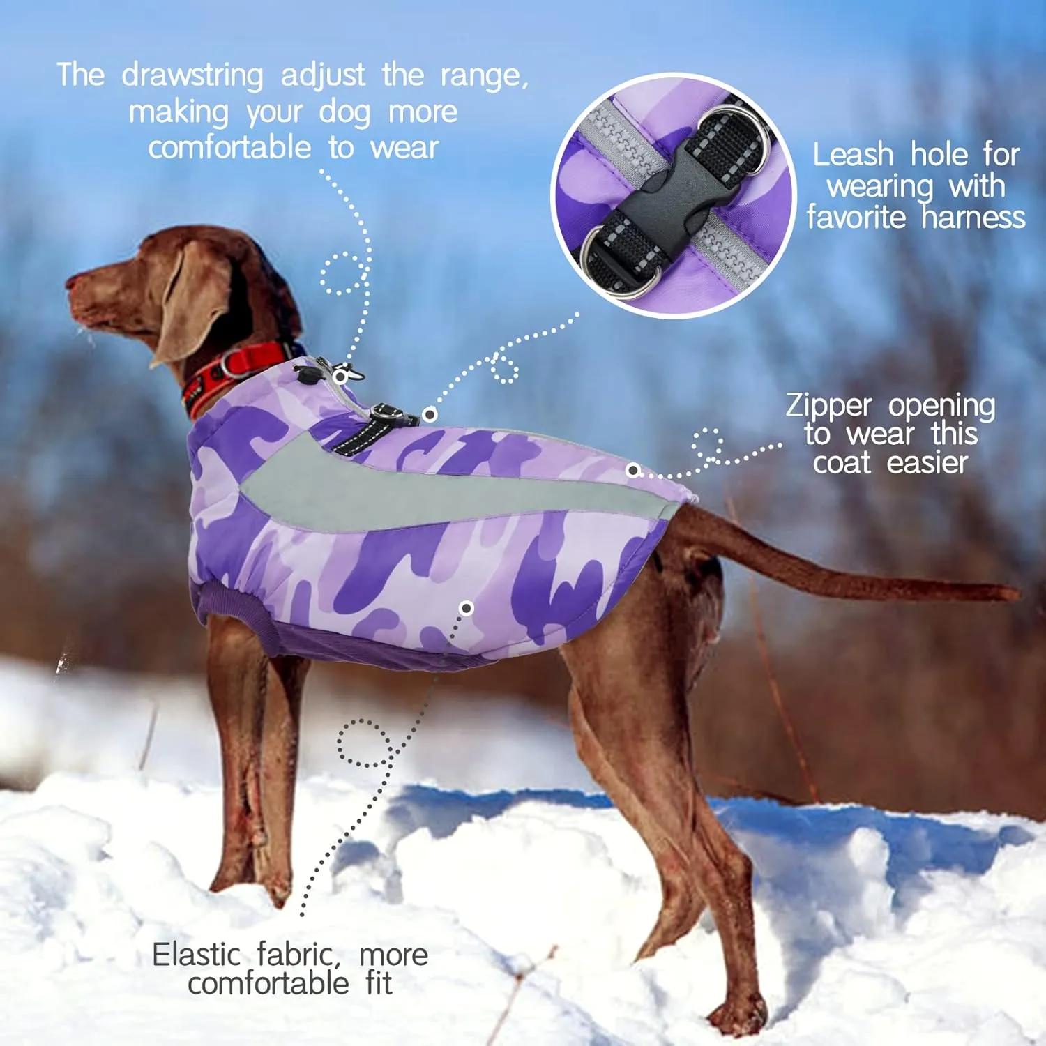 FUAMEY Warm Dog Jacket, Winter Coat with Harness, Waterproof Windproof Snow Jacket, Purple, S - Small/Medium/Large