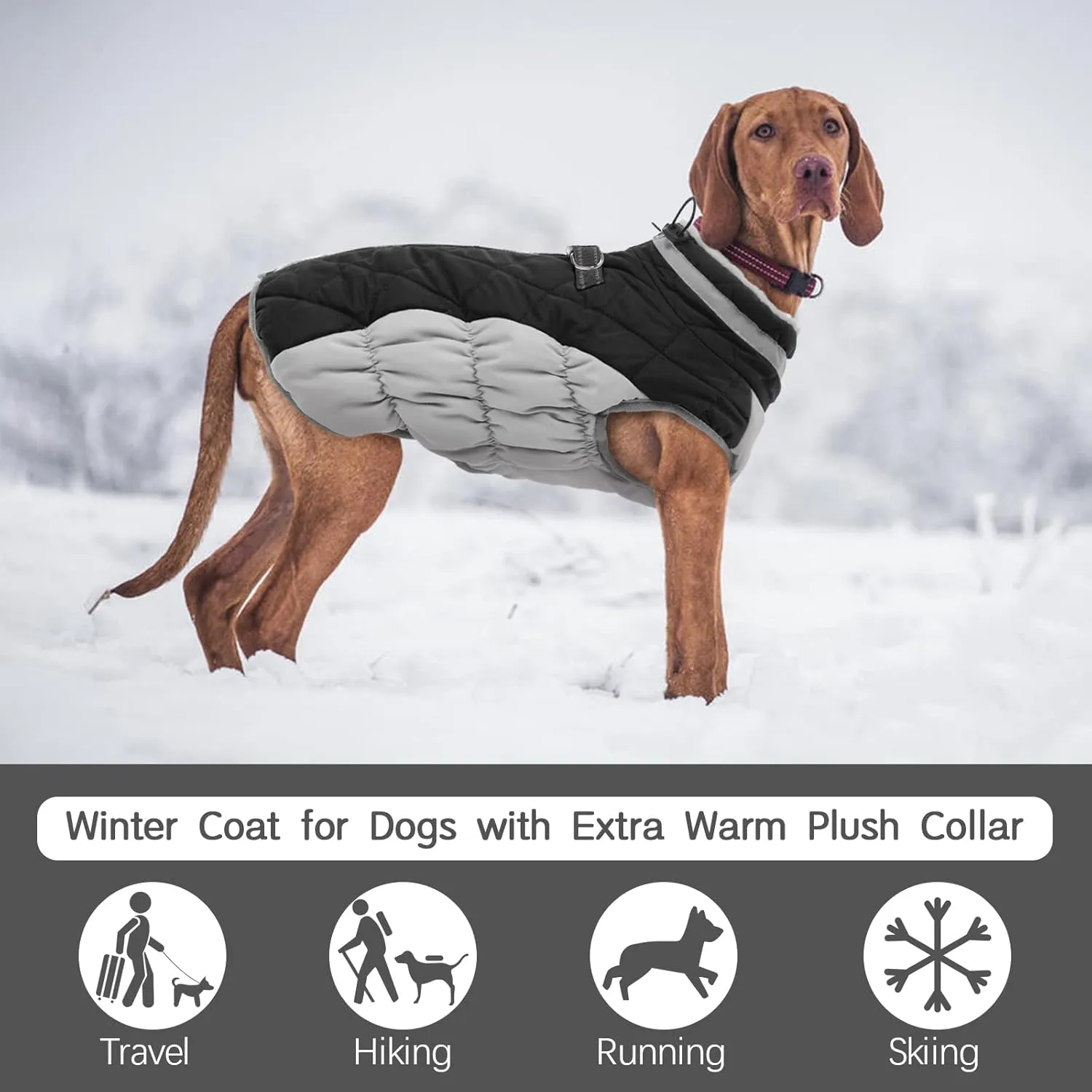 FUAMEY Warm Dog Jacket, Winter Coat with Padded Fleece, Reflective Vest, Built-in Harness, Waterproof Windproof Snow Jacket, Black Small