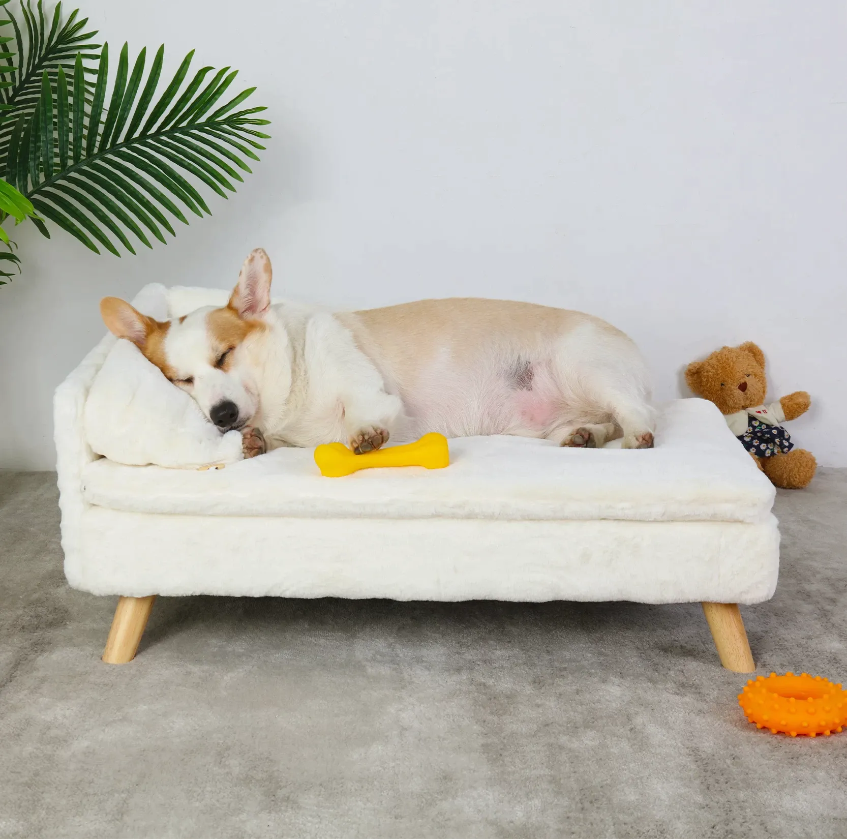 Funki Buys | Pet Beds | Luxury Dog Cat Raised Chaise Lounge