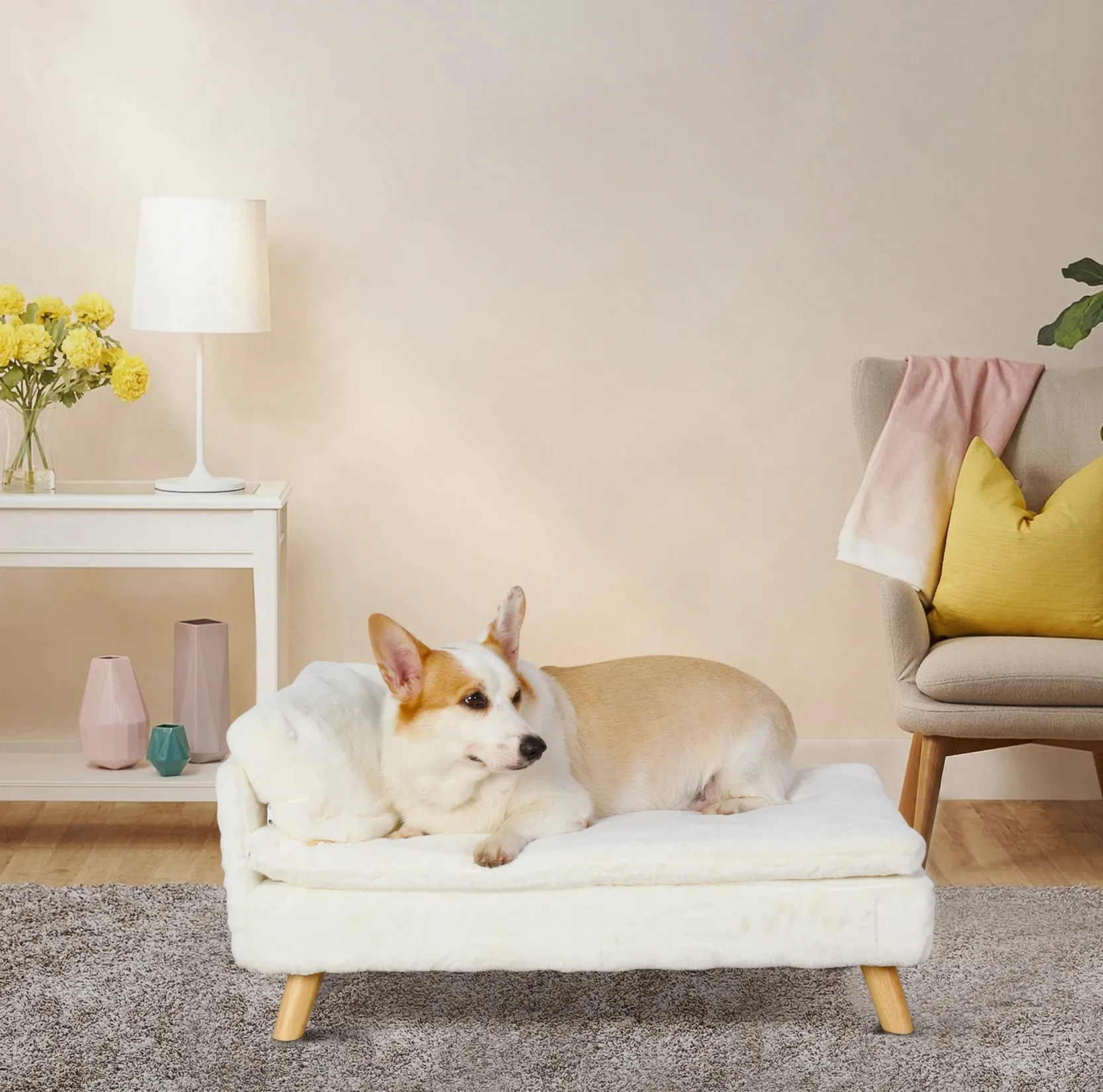 Funki Buys | Pet Beds | Luxury Dog Cat Raised Chaise Lounge