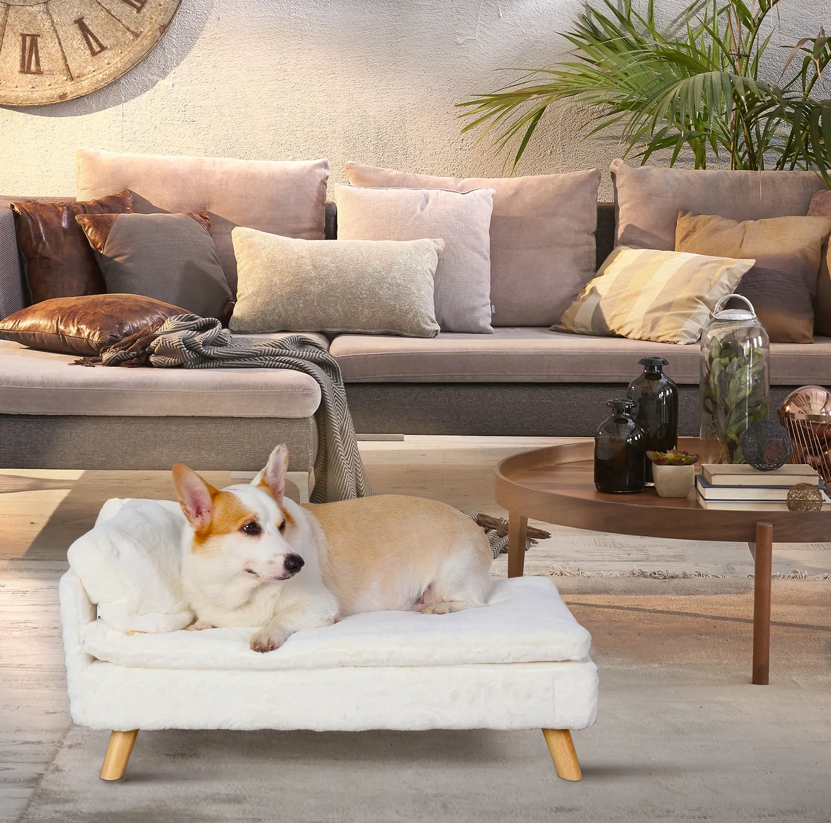 Funki Buys | Pet Beds | Luxury Dog Cat Raised Chaise Lounge