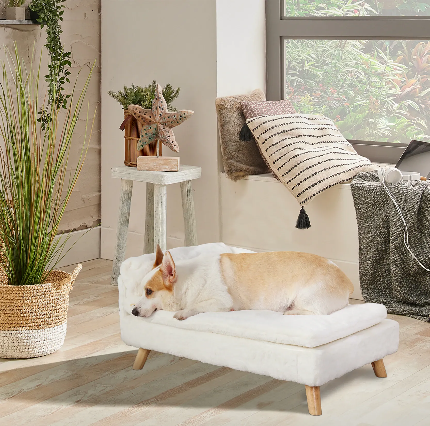 Funki Buys | Pet Beds | Luxury Dog Cat Raised Chaise Lounge