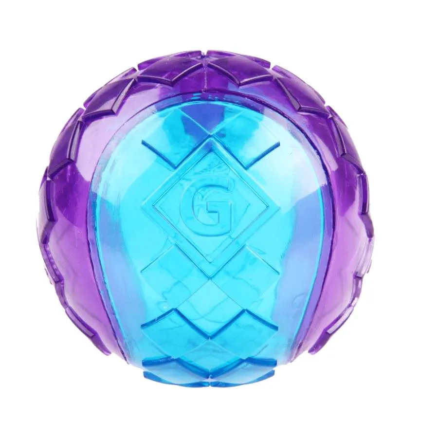 Gigwi Squeaker Ball