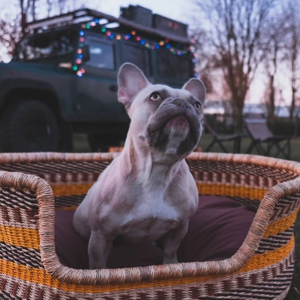 Handwoven Dog Basket