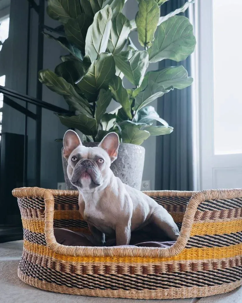 Handwoven Dog Basket