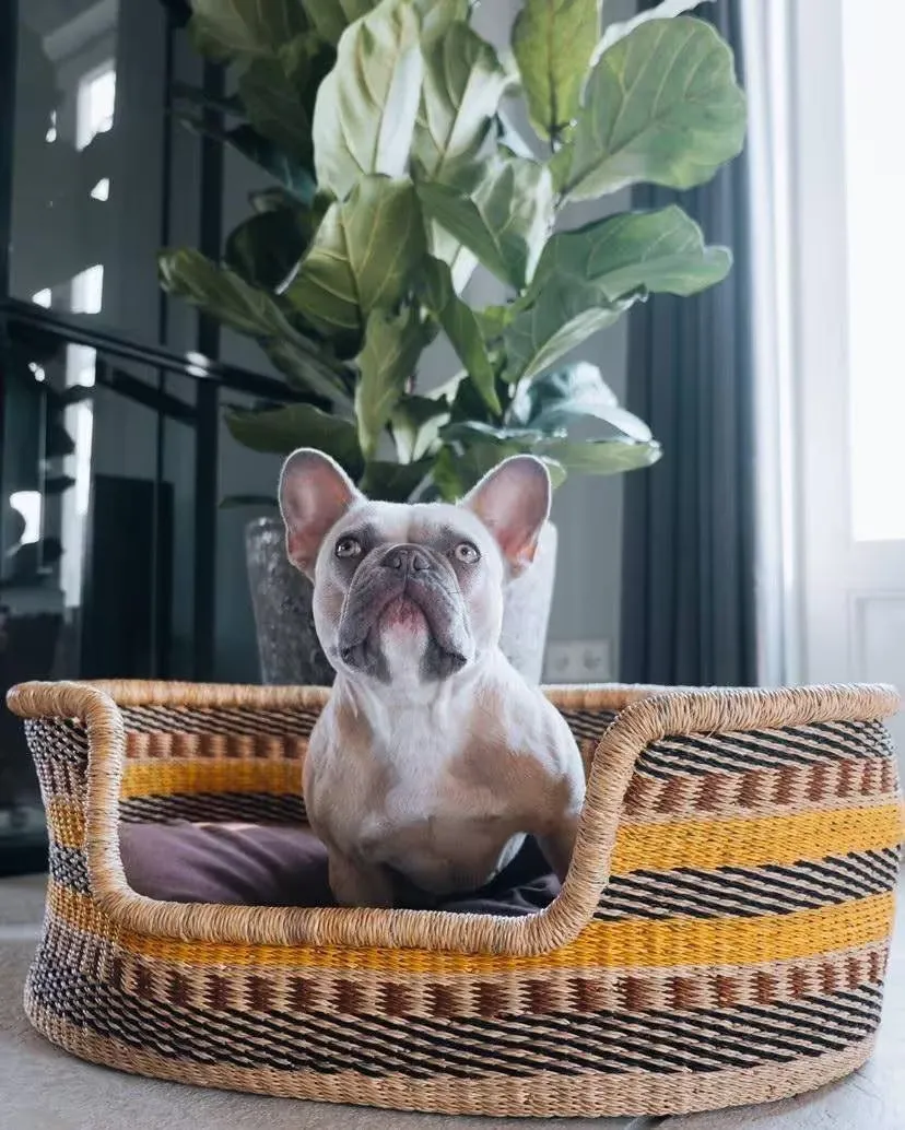 Handwoven Dog Basket