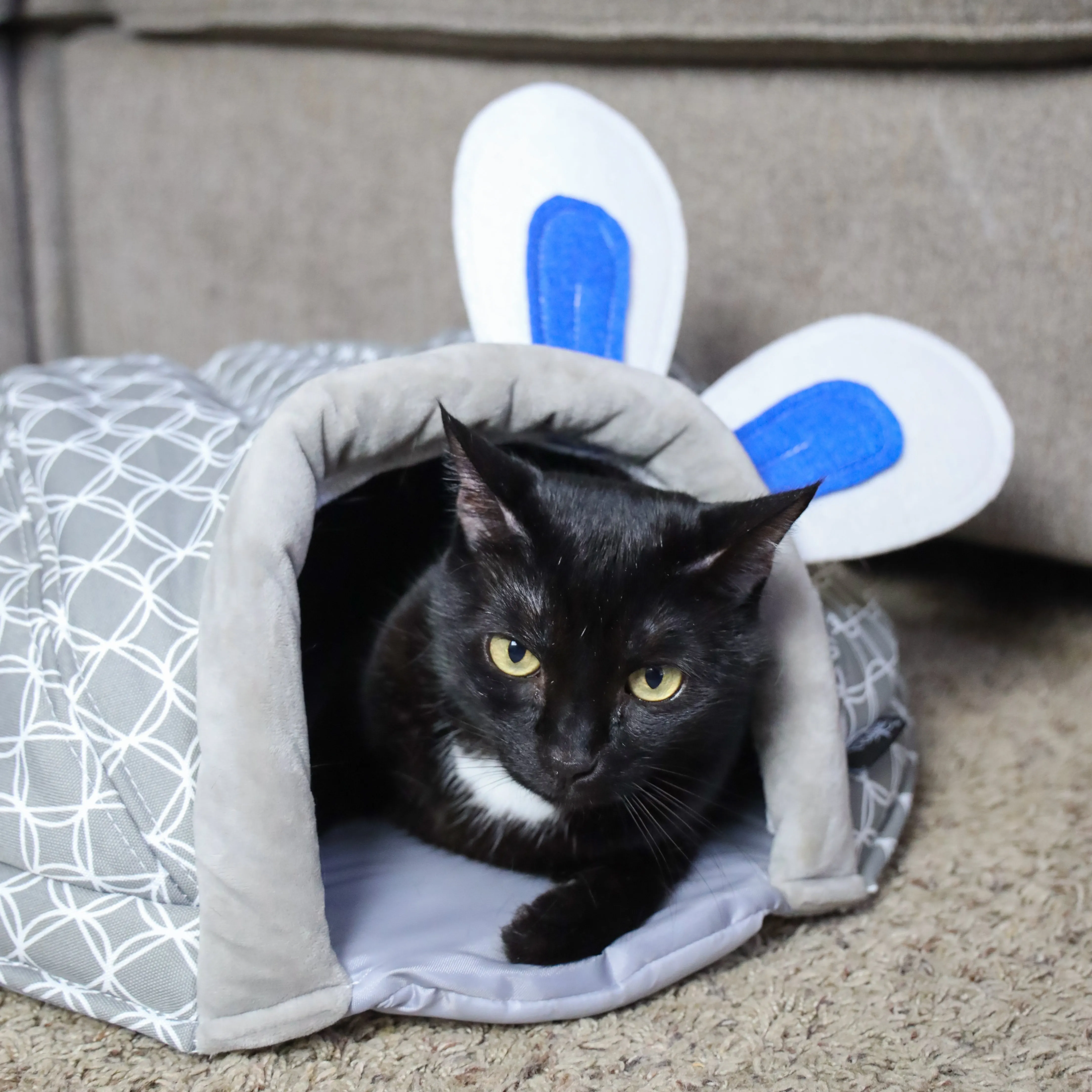 Hide & Seek 3 Piece Bundle Pack: Pet Sleep & Play House Bundle for Cats, Bunnies, Small Animals, Interactive Tunnel Mat, Critter Dome, and Critter Tunnel, Durable Fabric, Anxiety-Relief, Perfect for Play, Sleep, Easy to Clean, Pet Gift Set