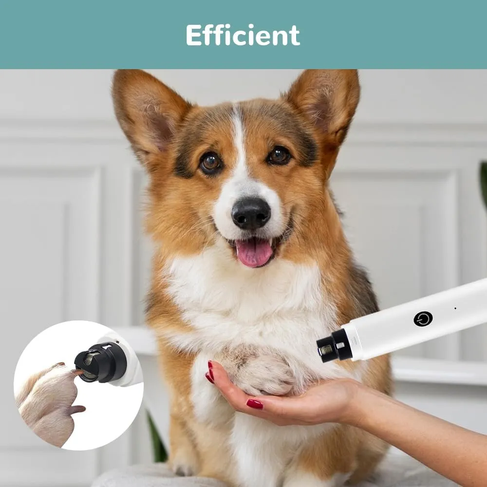 LED Light Pet Electric Nail Grinder,2024 Newest Rechargeable Dog Nail Grinder, Dog Nail Trimmers and Clippers Kit for Small Large Dogs Cats Toenail Claw Grooming (White*1)