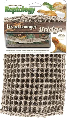 Lizard Lounger Bridge