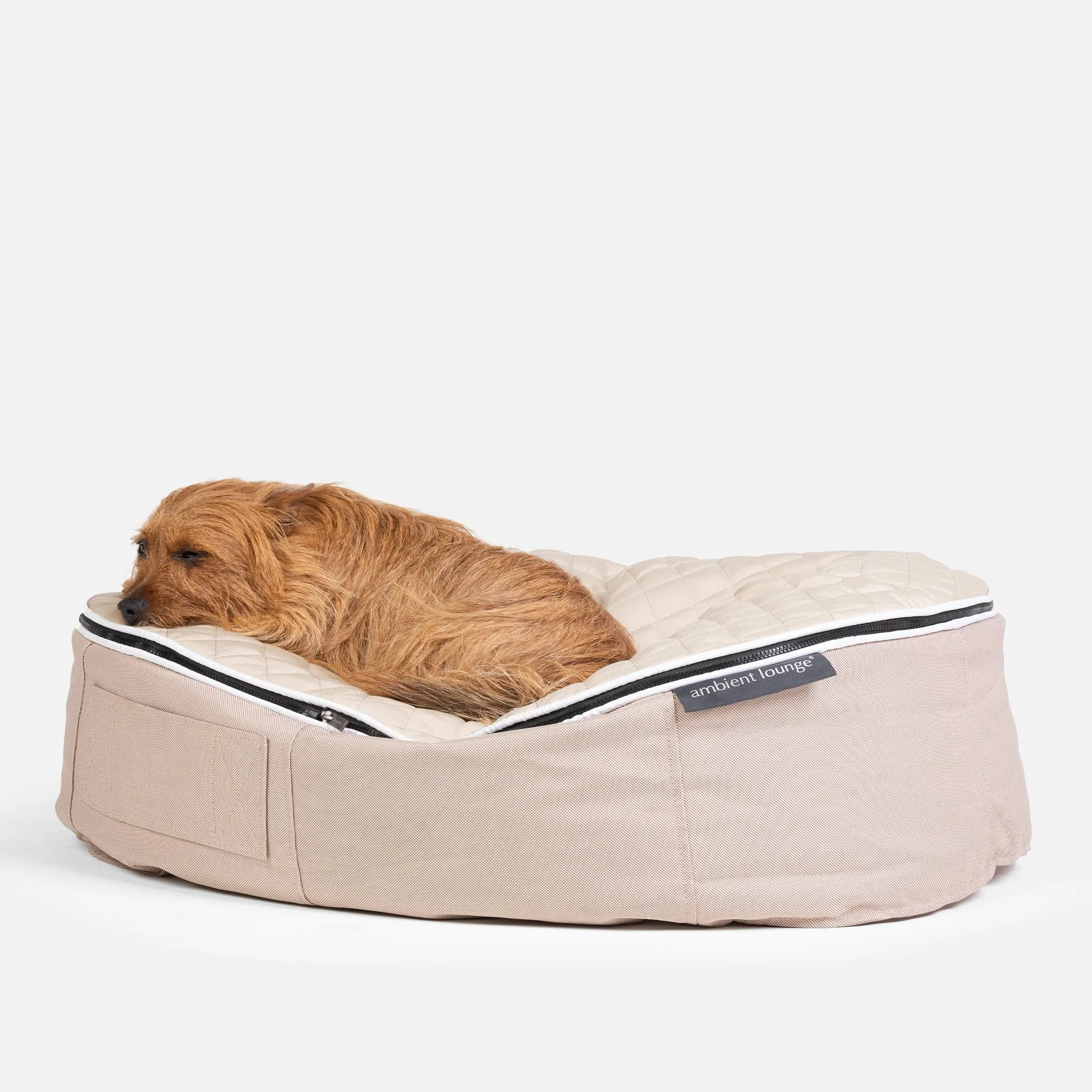 (M) Premium ThermoQuilt Dog Bed (Beige)