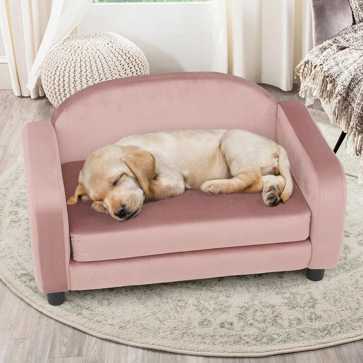 Magshion 28 Inch Dog Sofa Couch for Small Pet, Low Back Modern Velvet Elevated Cat Couch Lounging Beds and Chairs w/Washable Cushion for Dogs up to 25 lbs, Candy Pink