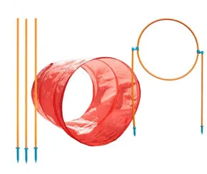 Outward Hound Zip & Zoom Outdoor Agility Kit