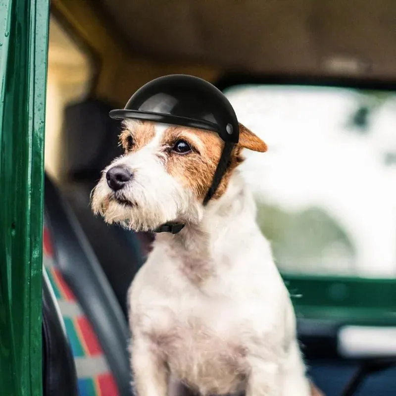 Pet Helmets Dog Cat Bicycle Motorcycle Helmet with Sunglasses Safety Doggie Hat for Traveling Head Protection Pet Supplies S / M