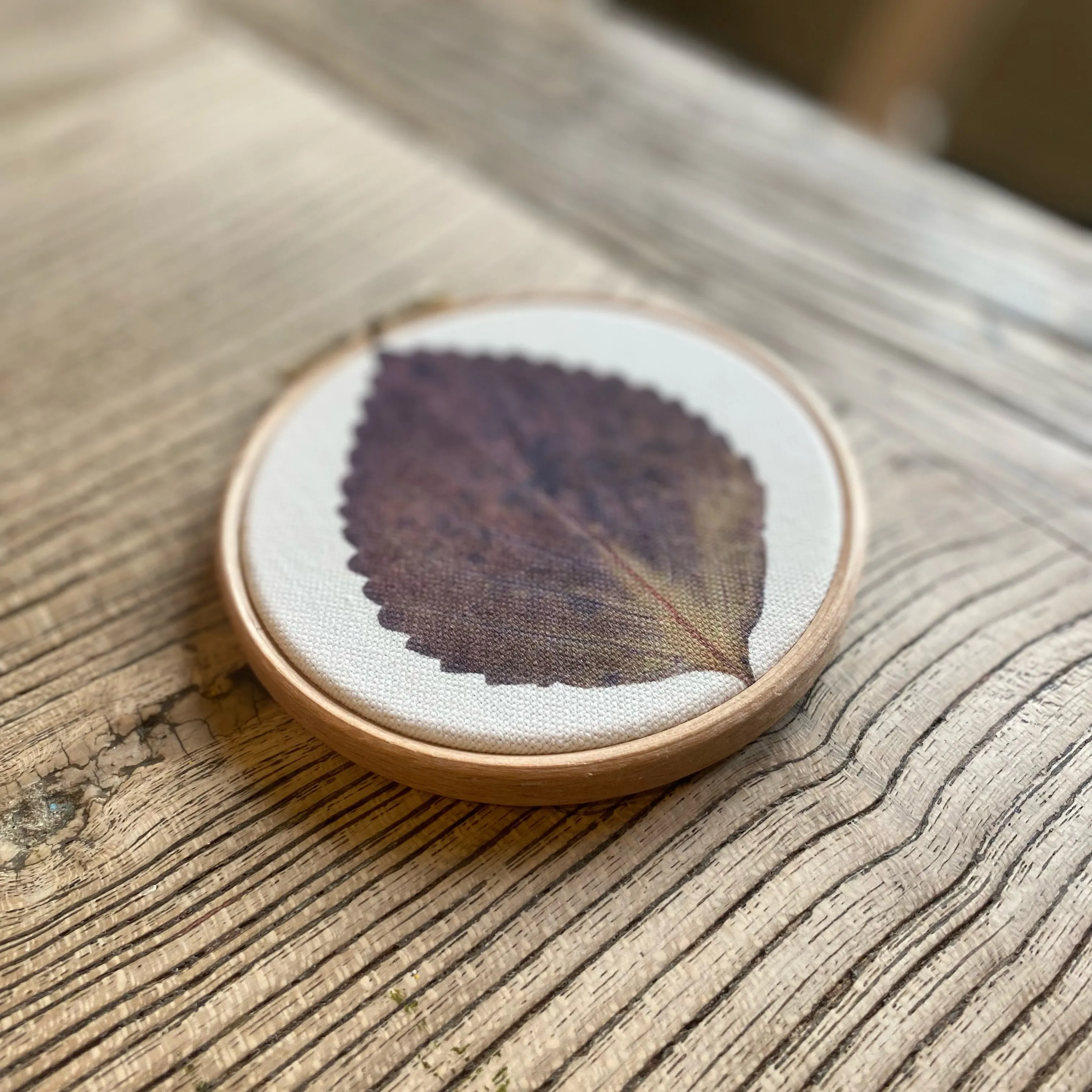 Pressed Flower Art Hoop