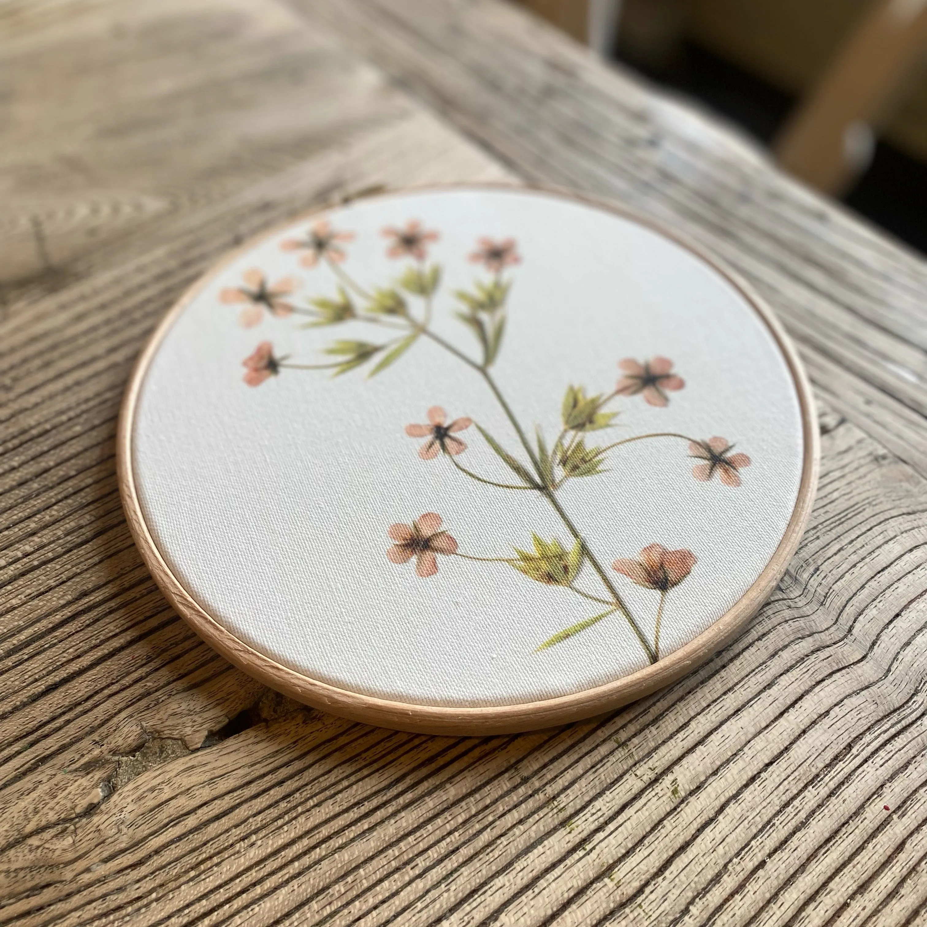 Pressed Flower Art Hoop