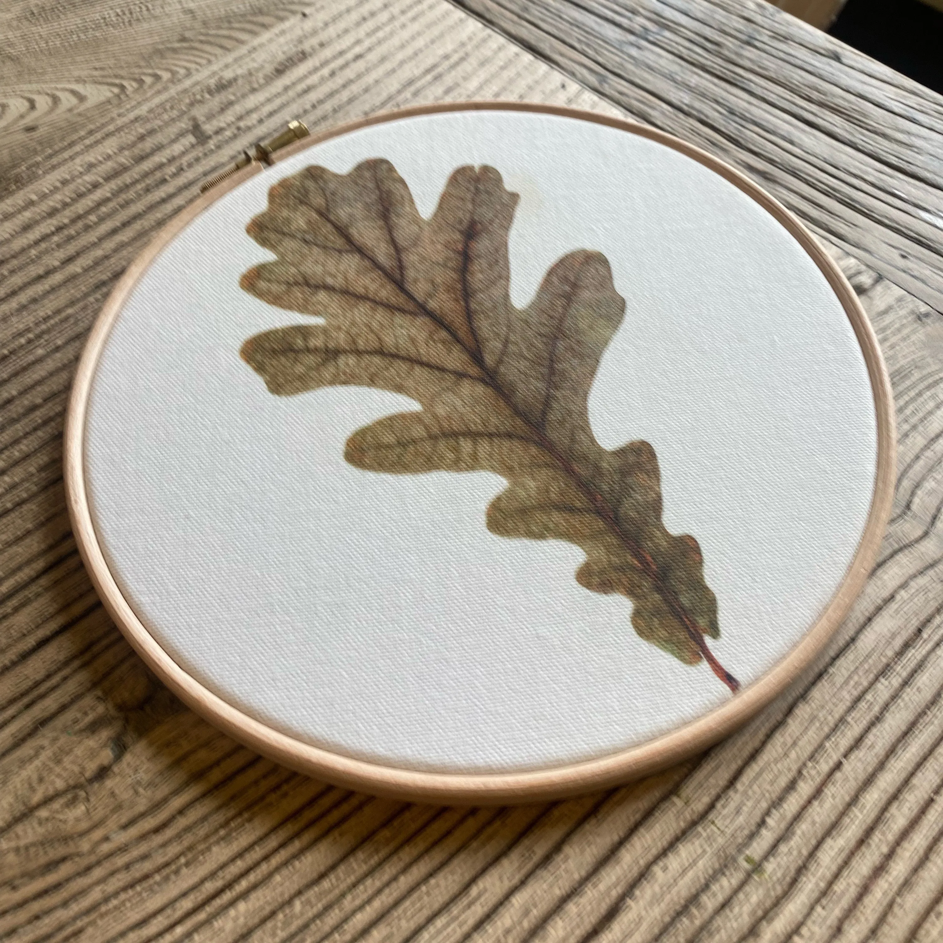 Pressed Flower Art Hoop