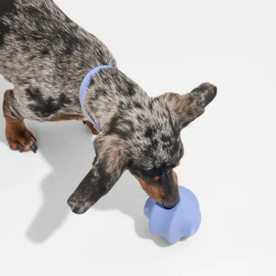 "Twist Toss" Treat Dispensing Dog Toy - 2 Colours / Sizes