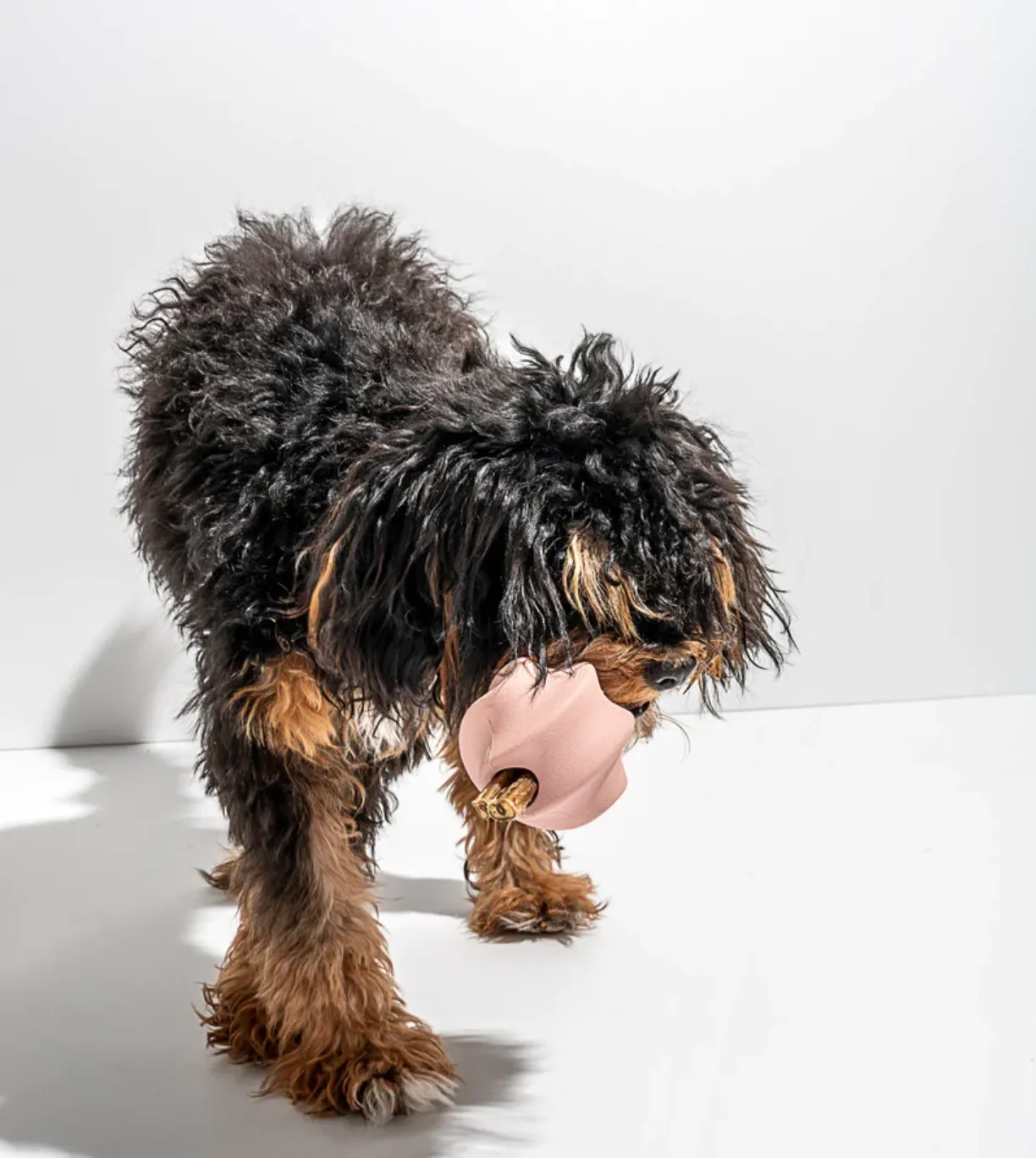 "Twist Toss" Treat Dispensing Dog Toy - 2 Colours / Sizes