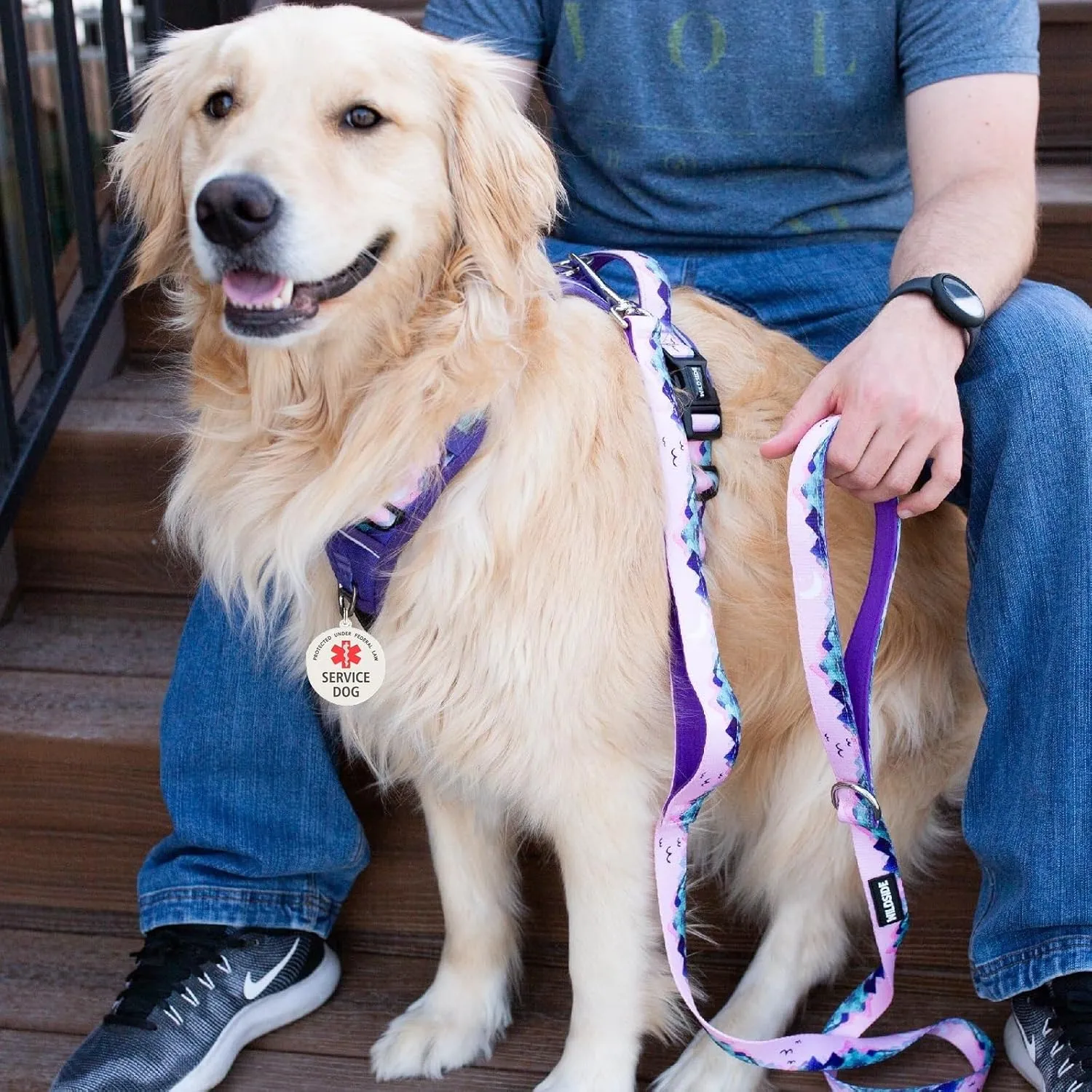 Service Dog Tag Easily Attach to Dog Collar, Harness, Vest (Small)
