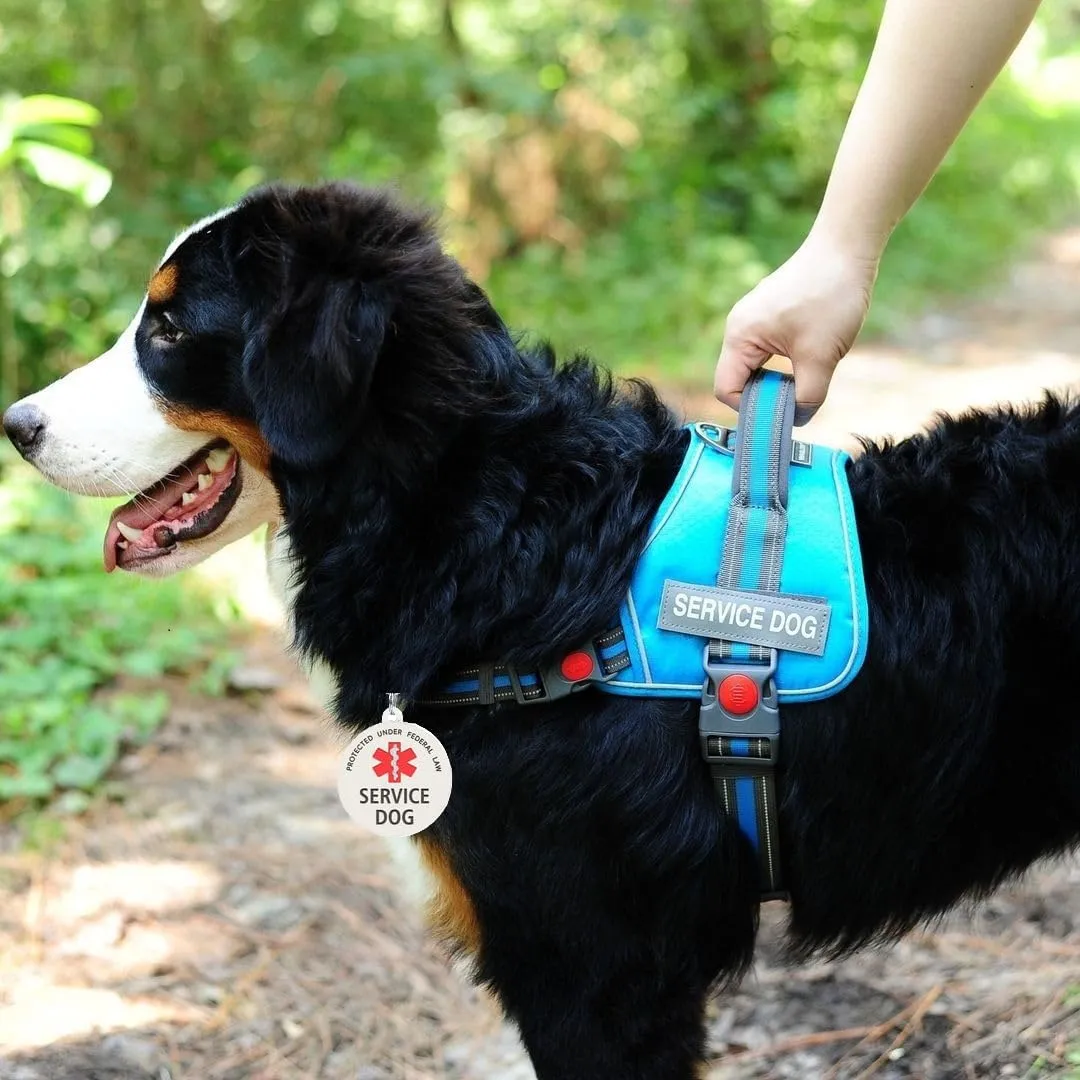 Service Dog Tag Easily Attach to Dog Collar, Harness, Vest (Small)