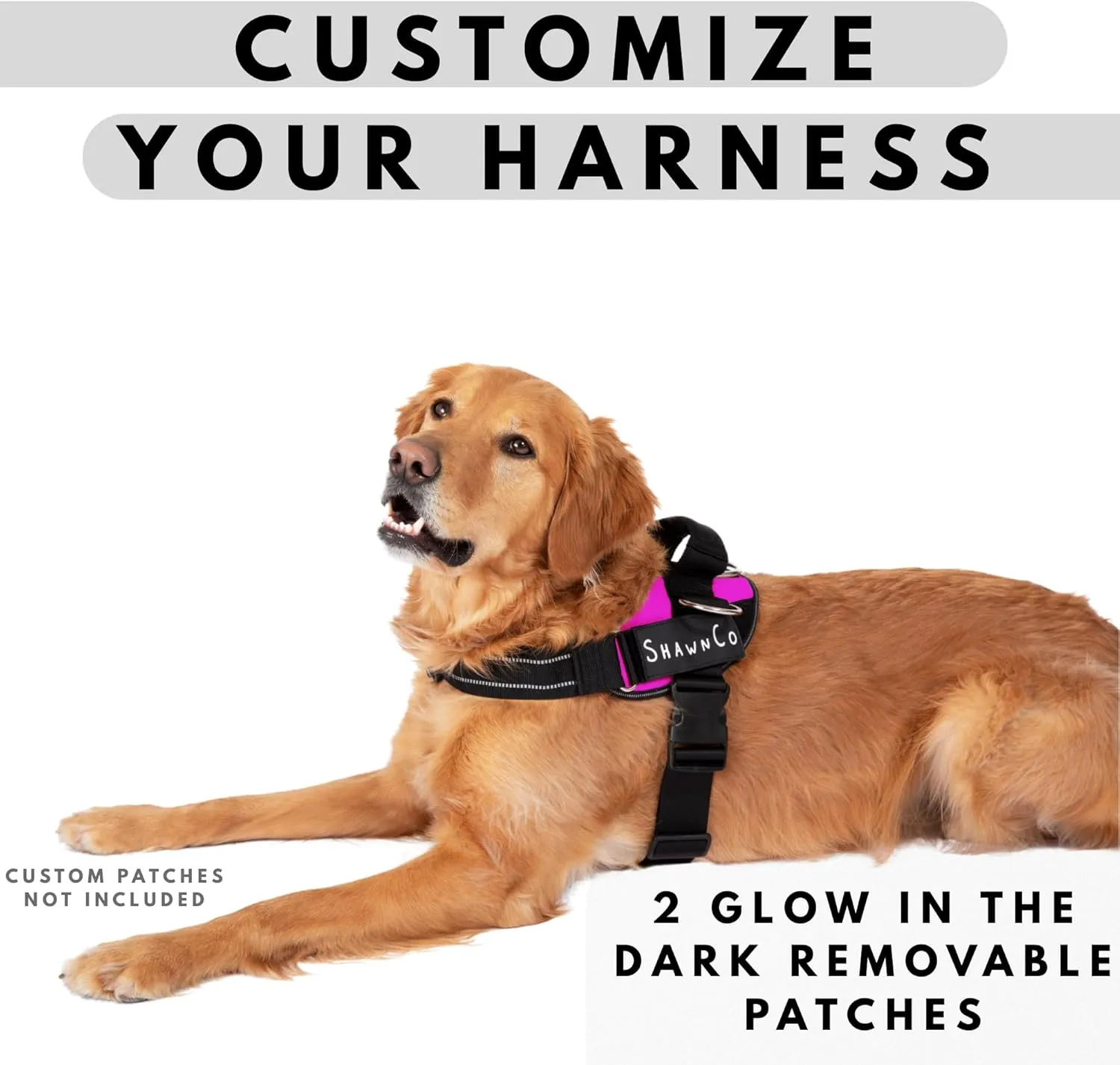 ShawnCo Essential Pro Dog Harness, No-Pull Pet Vest with 3 Leash Clips and Removable, Reflective Side Patches, Adjustable and Padded Harness for Small, Medium and Large Dogs (ICY Lilac, M)