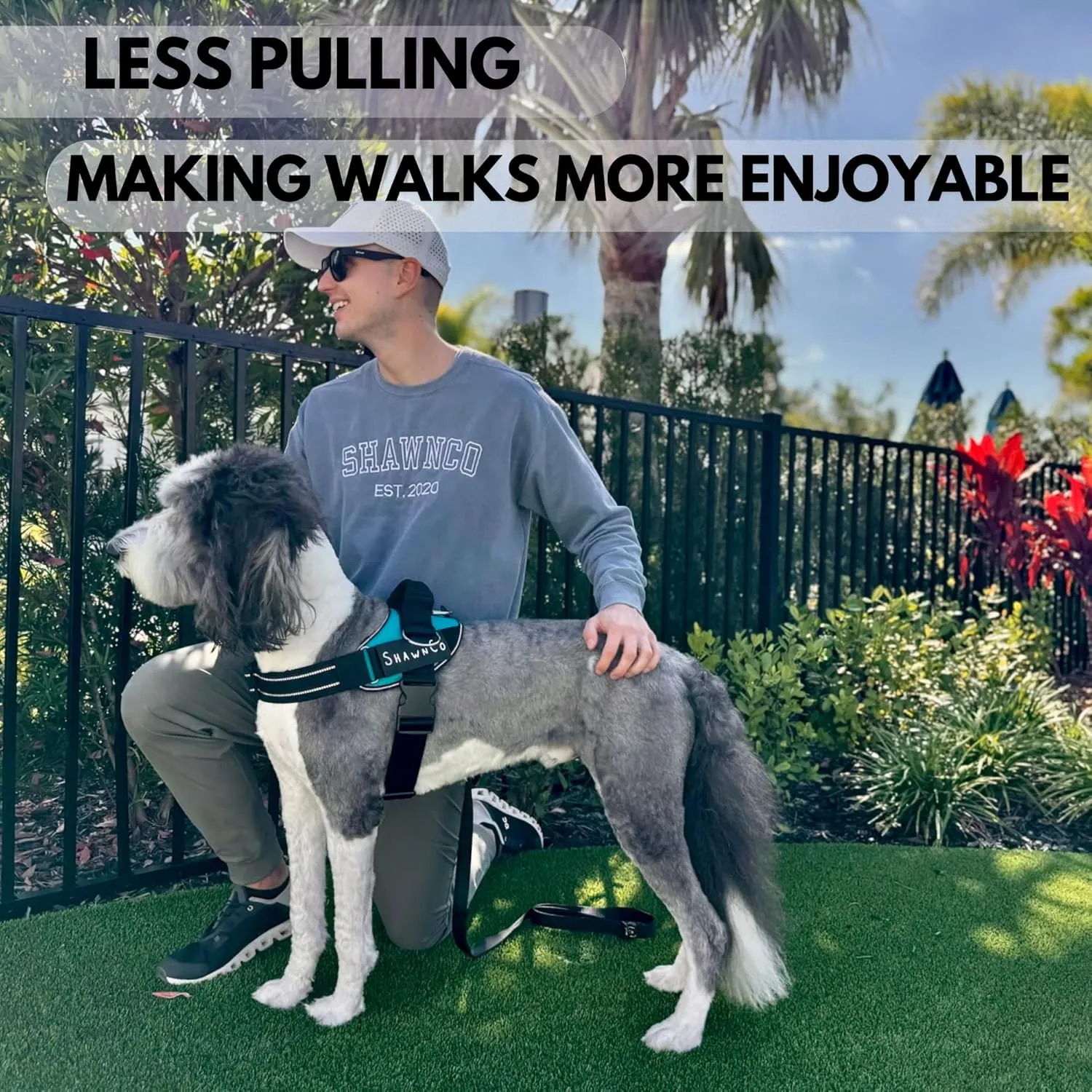 ShawnCo Essential Pro Dog Harness, No-Pull Pet Vest with 3 Leash Clips and Removable, Reflective Side Patches, Adjustable and Padded Harness for Small, Medium and Large Dogs (Oceanic Blue, XL)