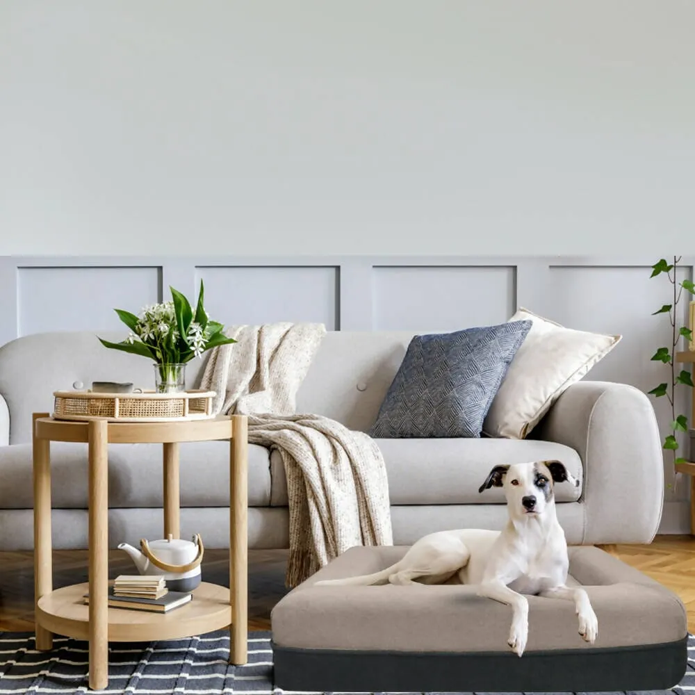 Snooze Pet Bed - Small | Removable & Washable Cover